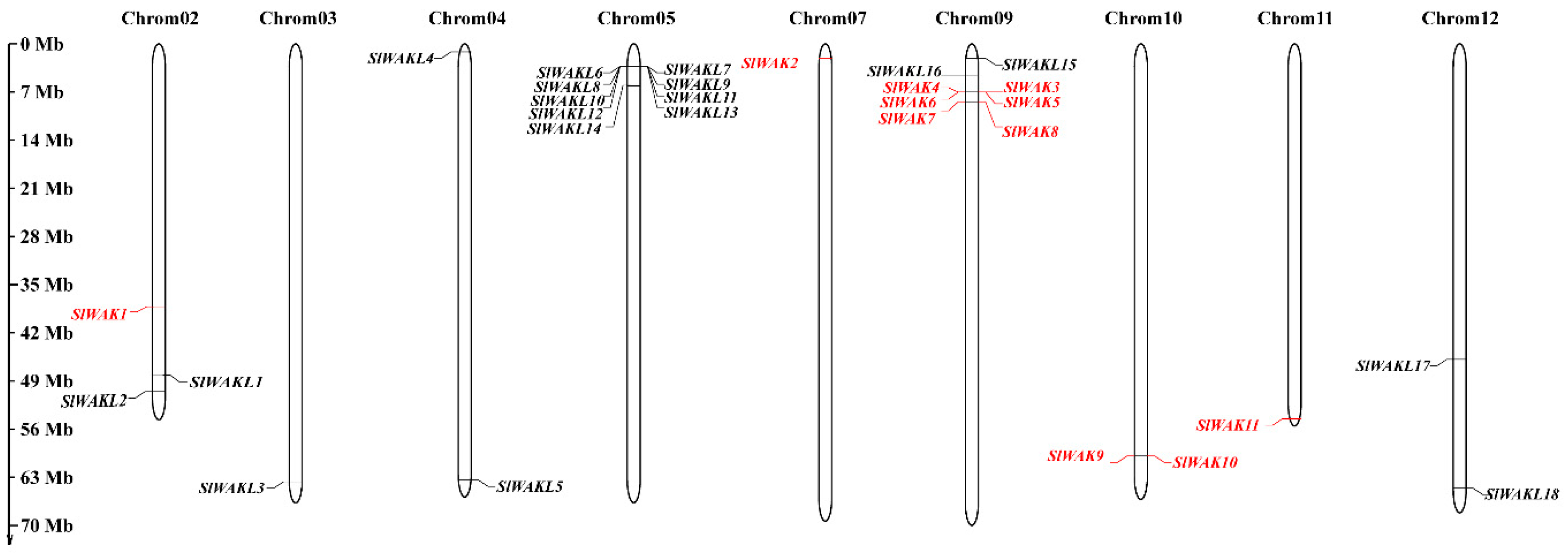 Genes 11 01186 g004 Genes 11 01186 g004