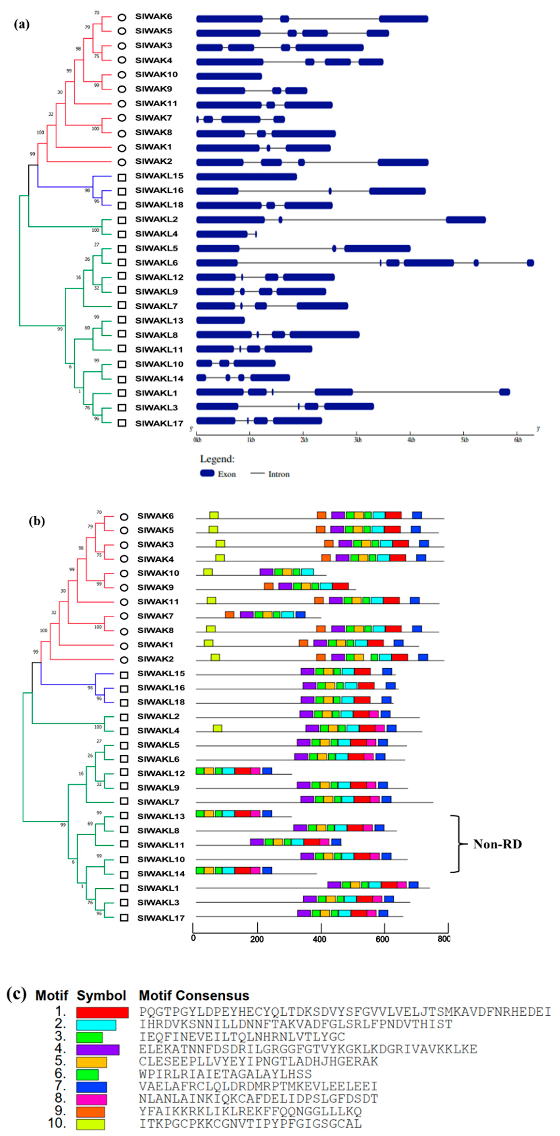 Genes 11 01186 g005 Genes 11 01186 g005