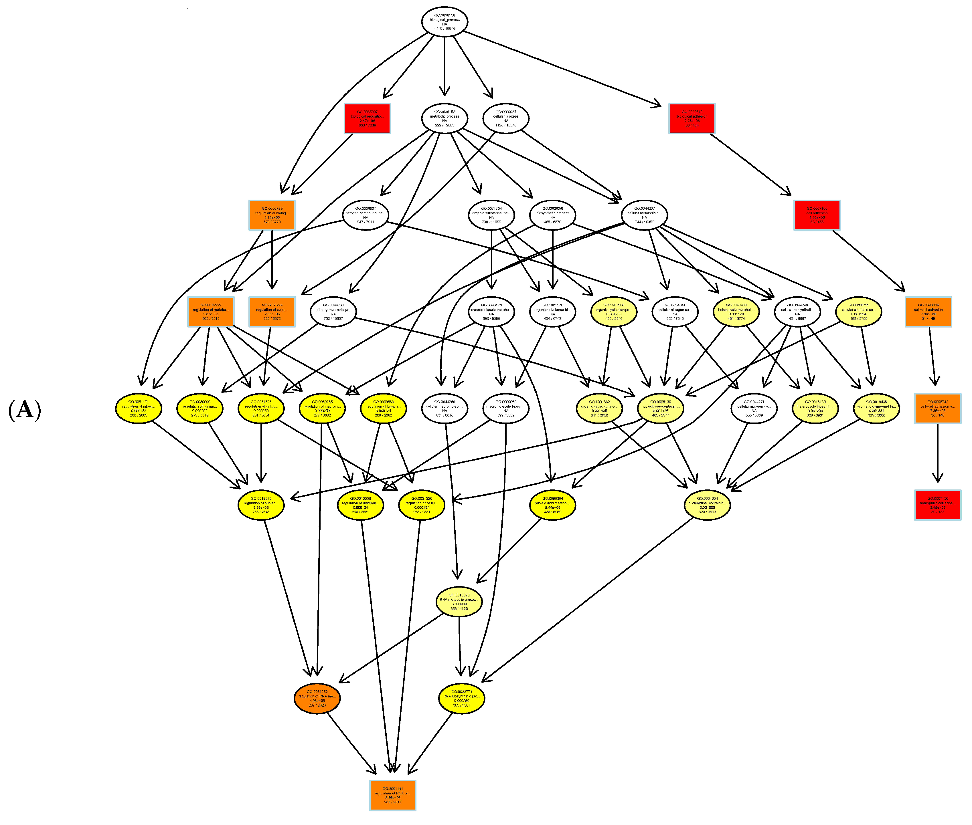 Genes 11 01188 g004a Genes 11 01188 g004a