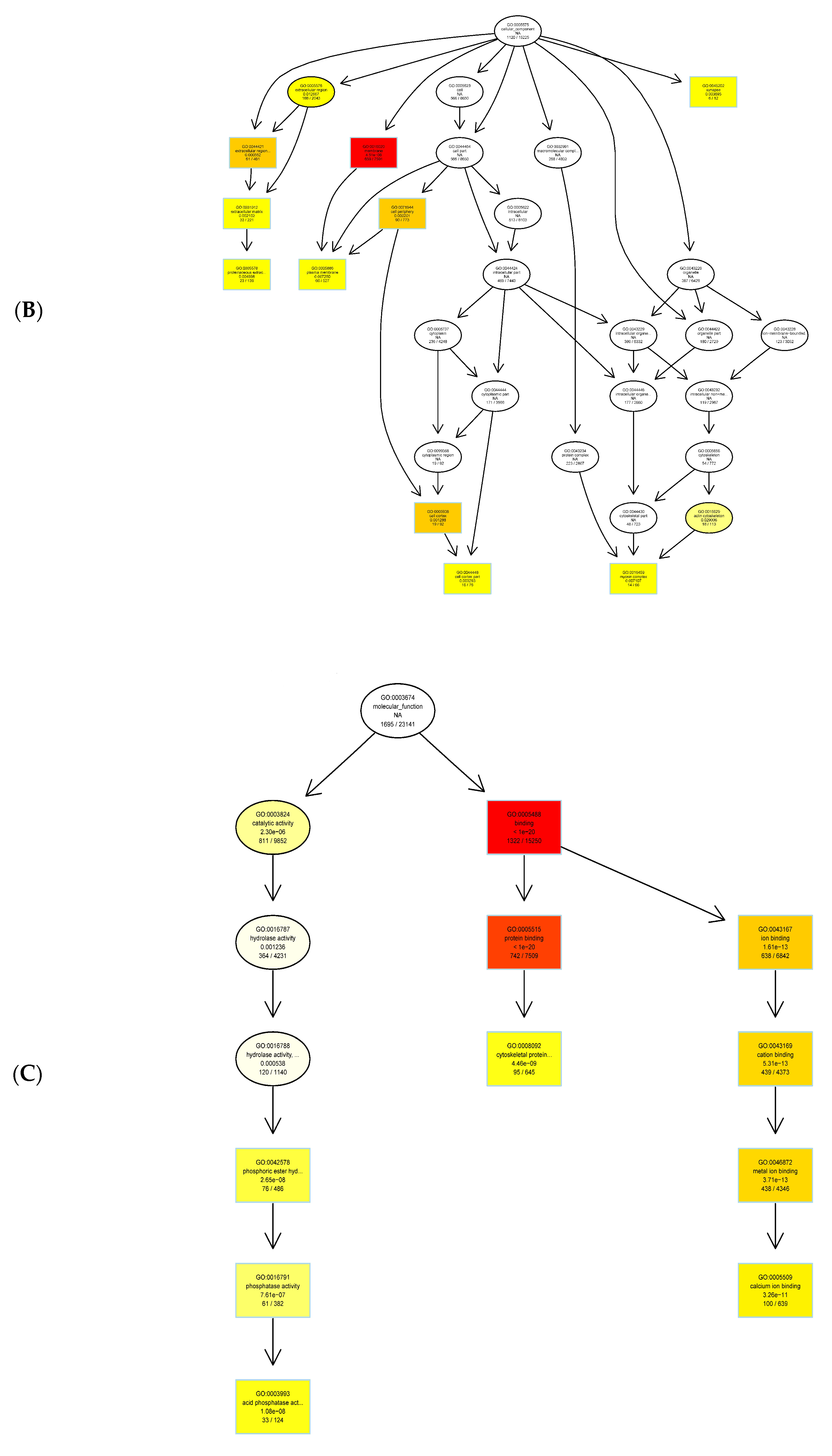 Genes 11 01188 g004b Genes 11 01188 g004b