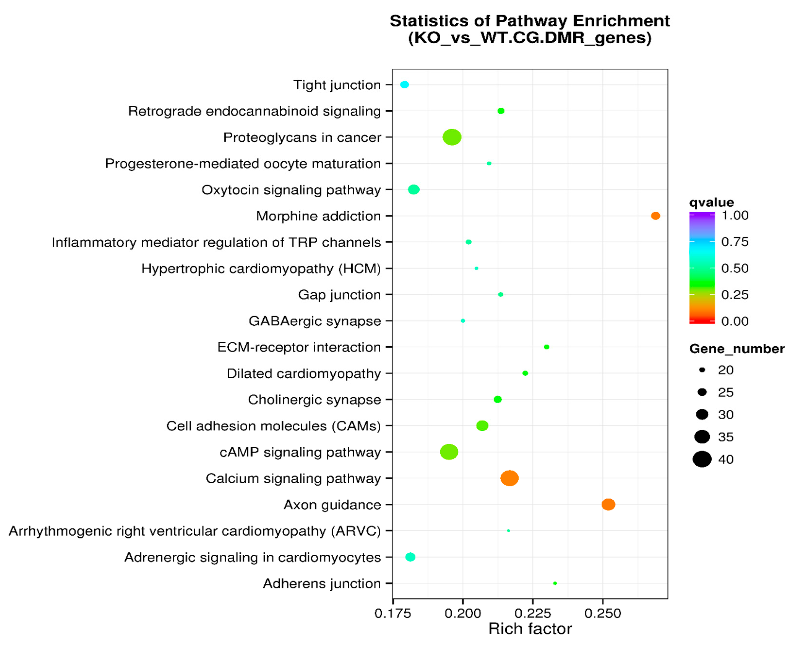 Genes 11 01188 g005 Genes 11 01188 g005