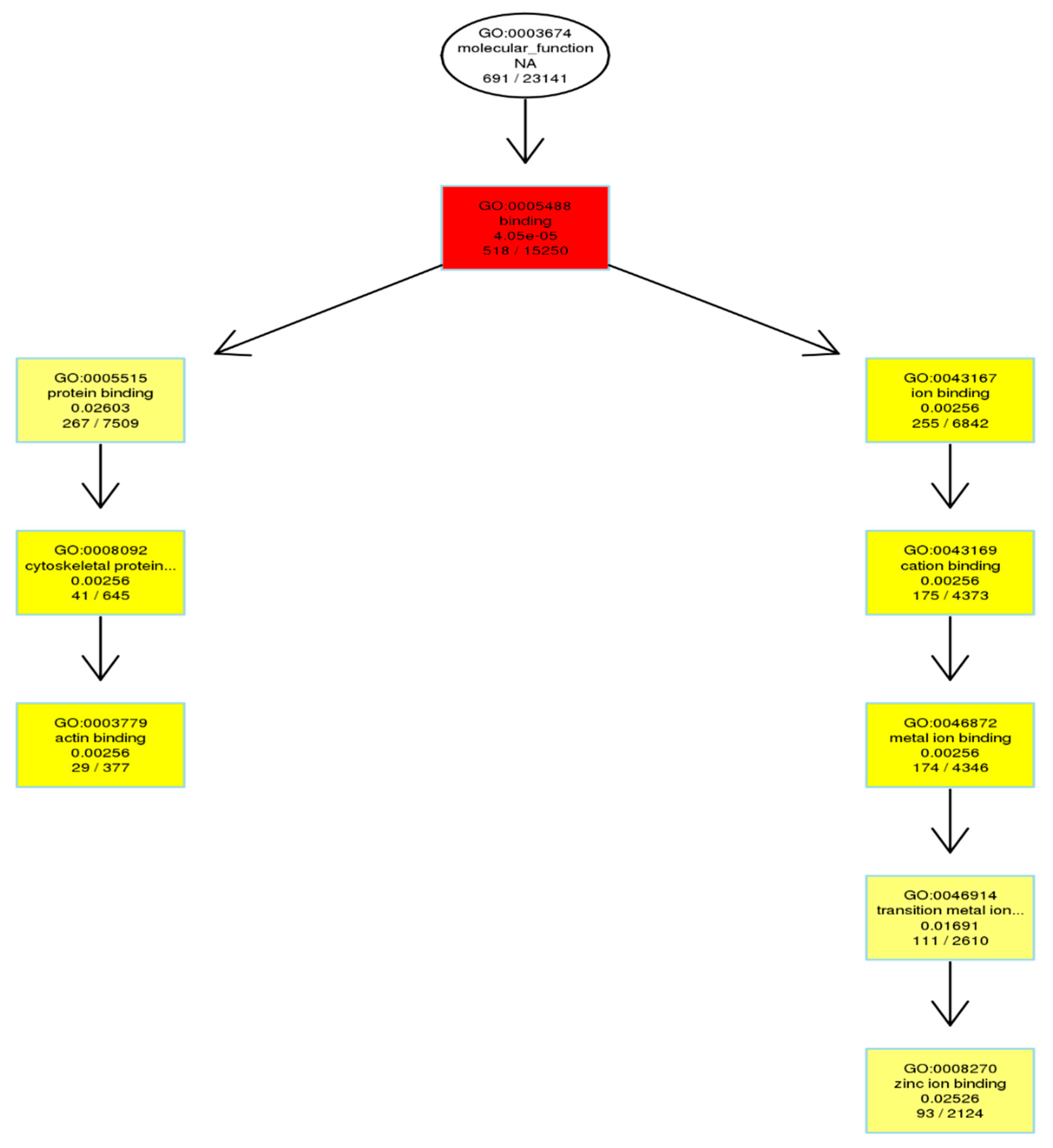 Genes 11 01188 g006 Genes 11 01188 g006