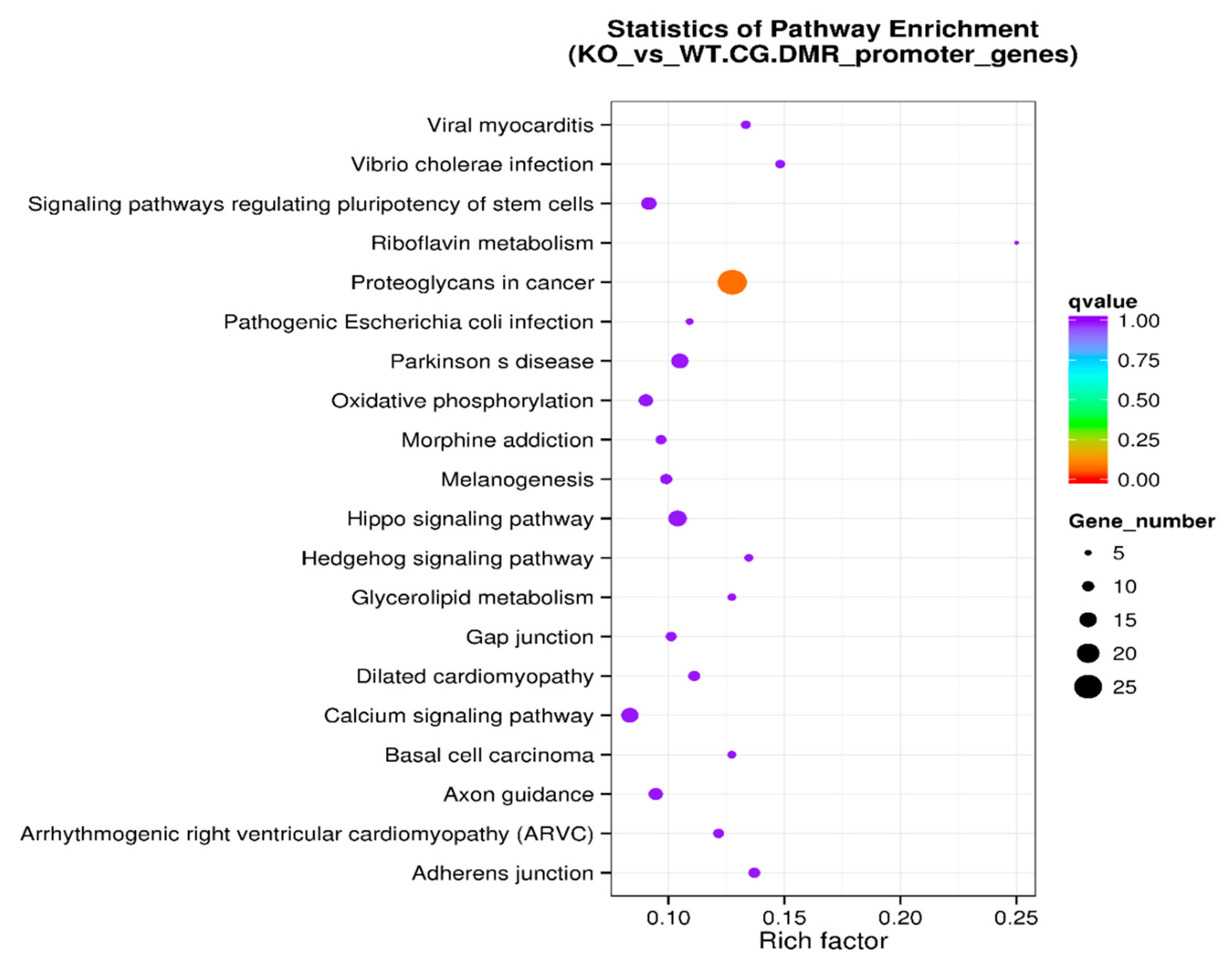 Genes 11 01188 g007 Genes 11 01188 g007