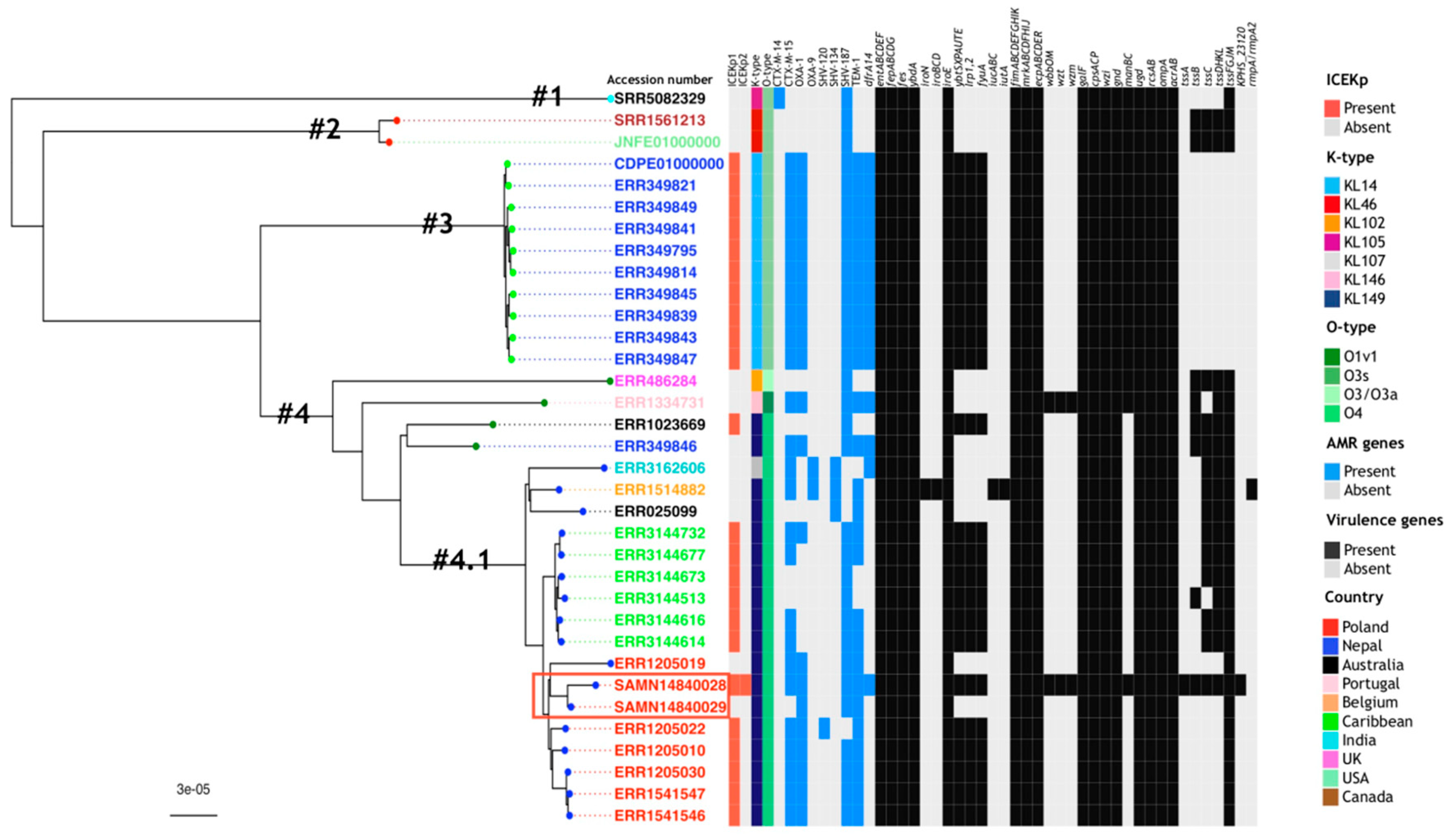 Genes 11 01189 g001 Genes 11 01189 g001
