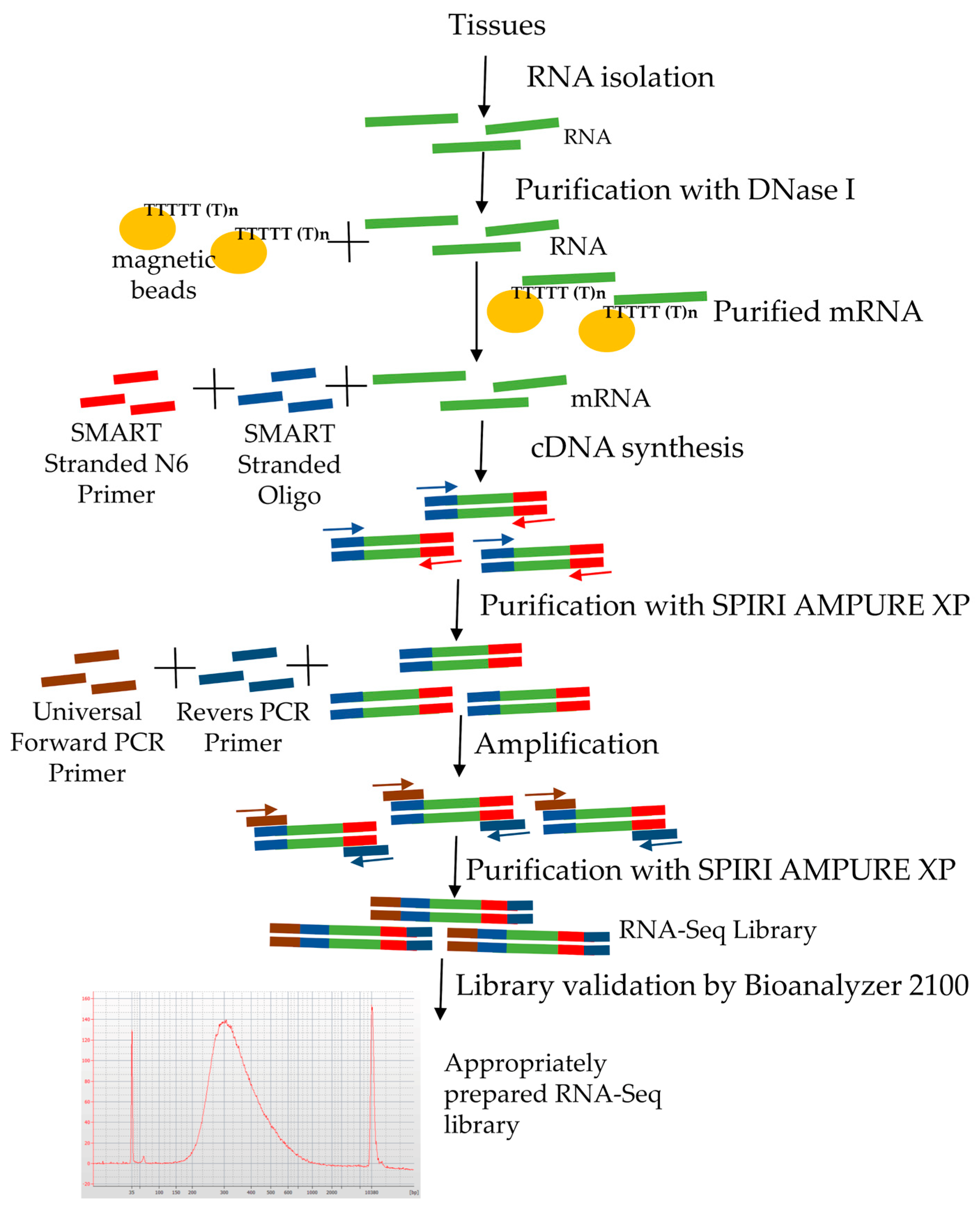 Genes 11 01190 g003