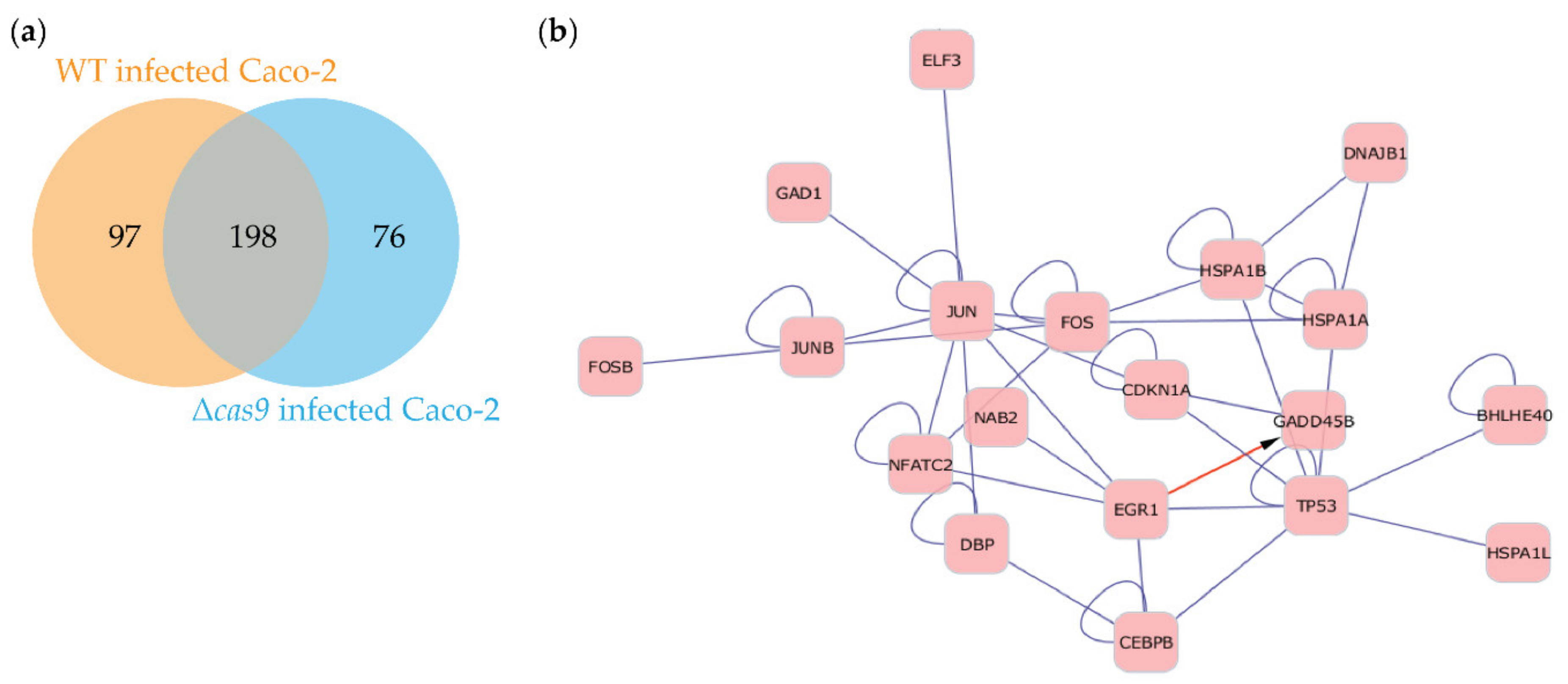 Genes 11 01193 g003 Genes 11 01193 g003