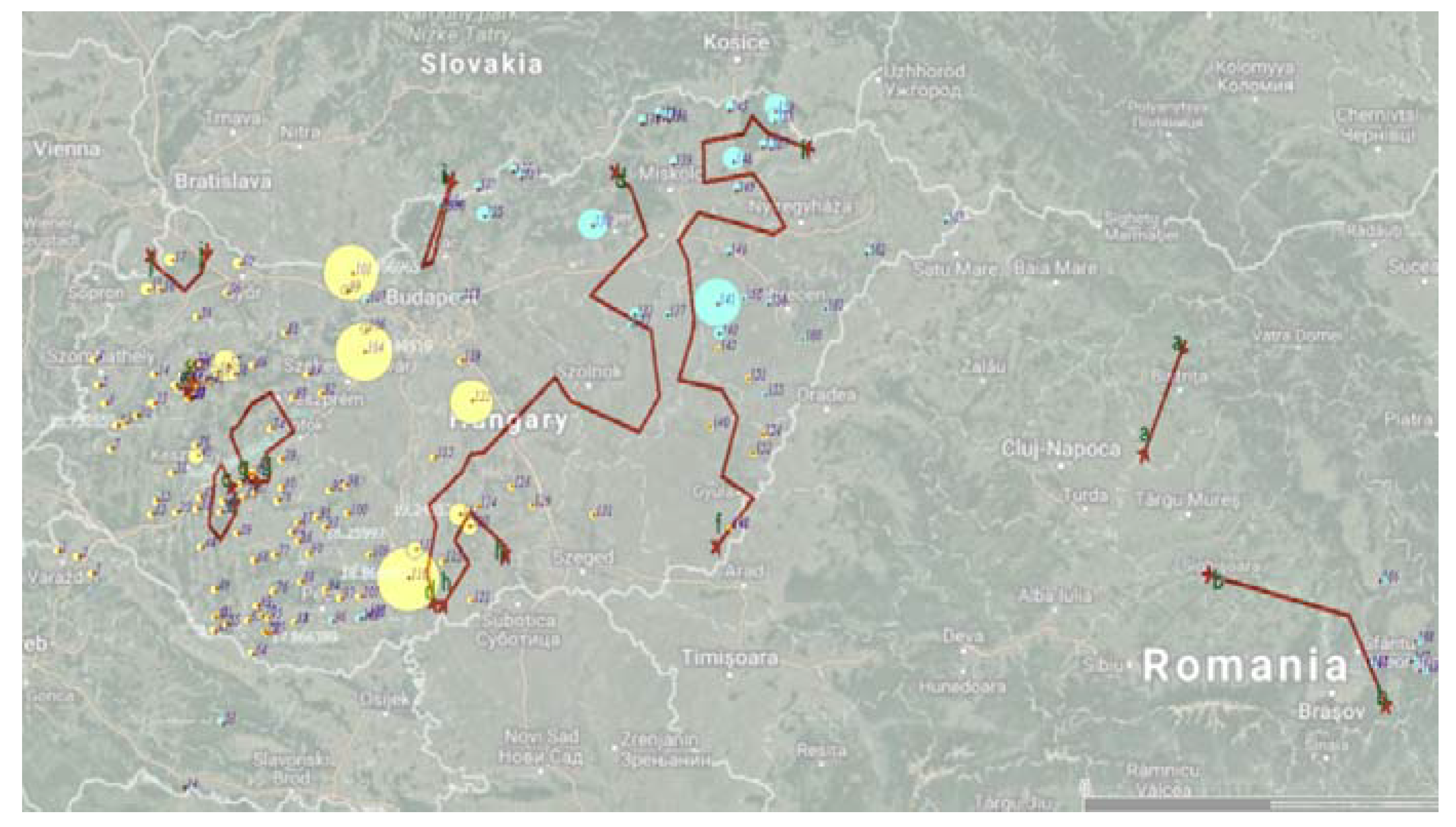 Genes 11 01194 g002 Genes 11 01194 g002