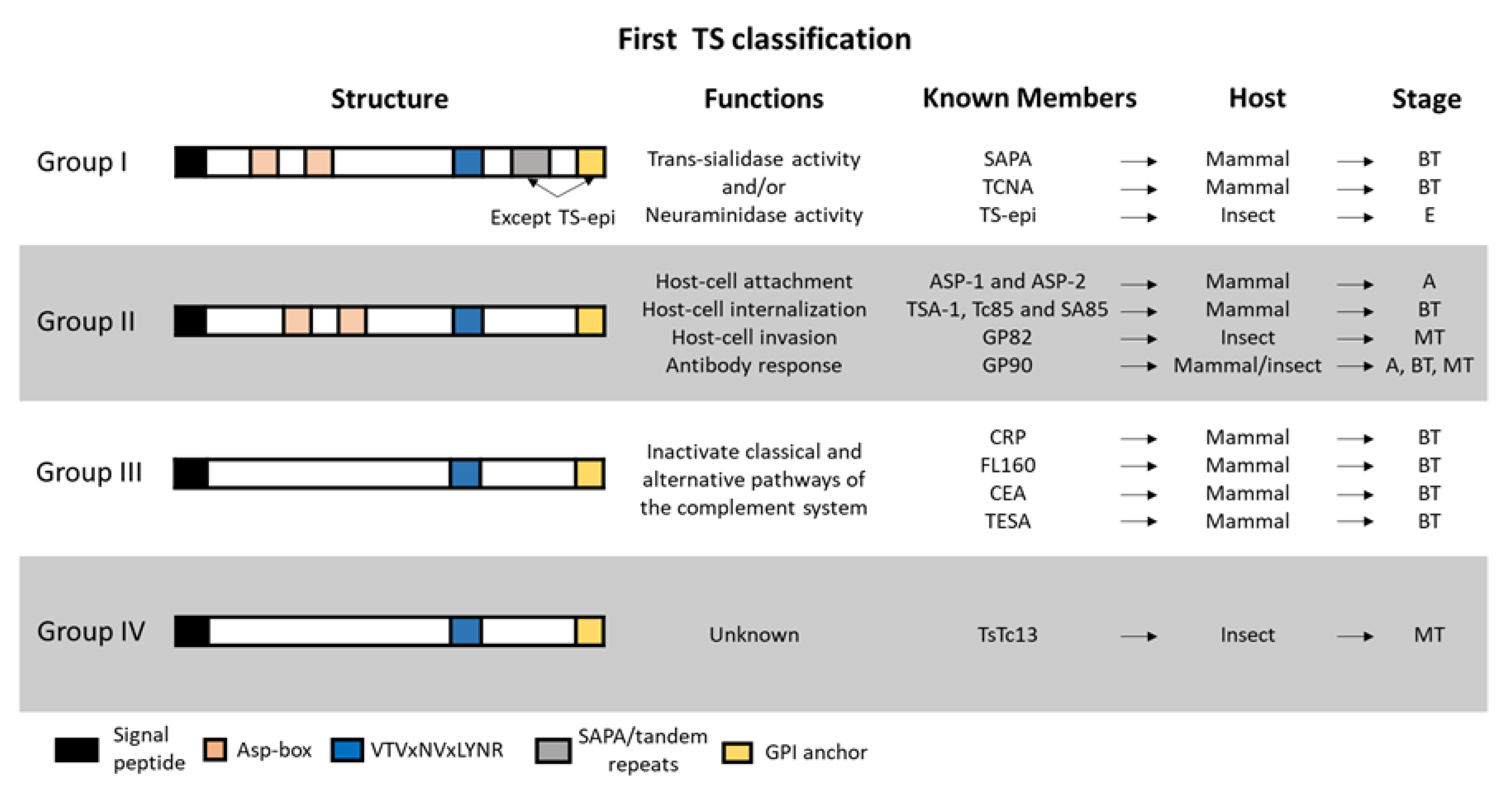 Genes 11 01196 g004 Genes 11 01196 g004