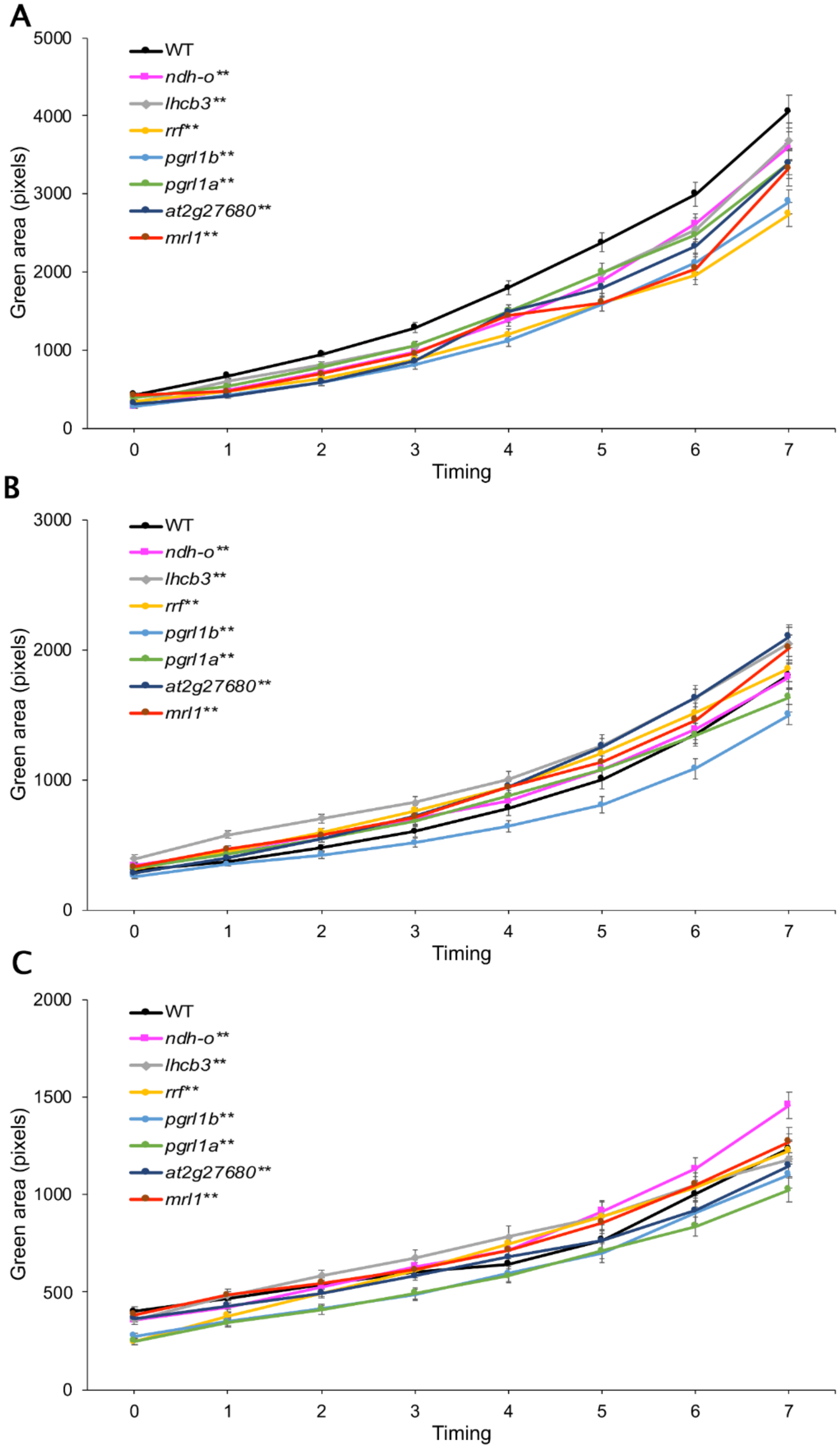 Genes 11 01197 g004 Genes 11 01197 g004