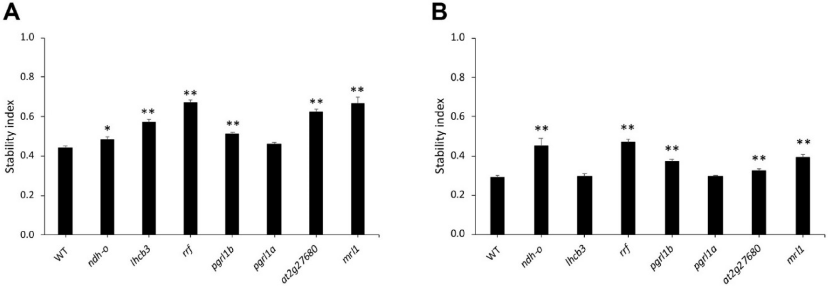 Genes 11 01197 g005 Genes 11 01197 g005