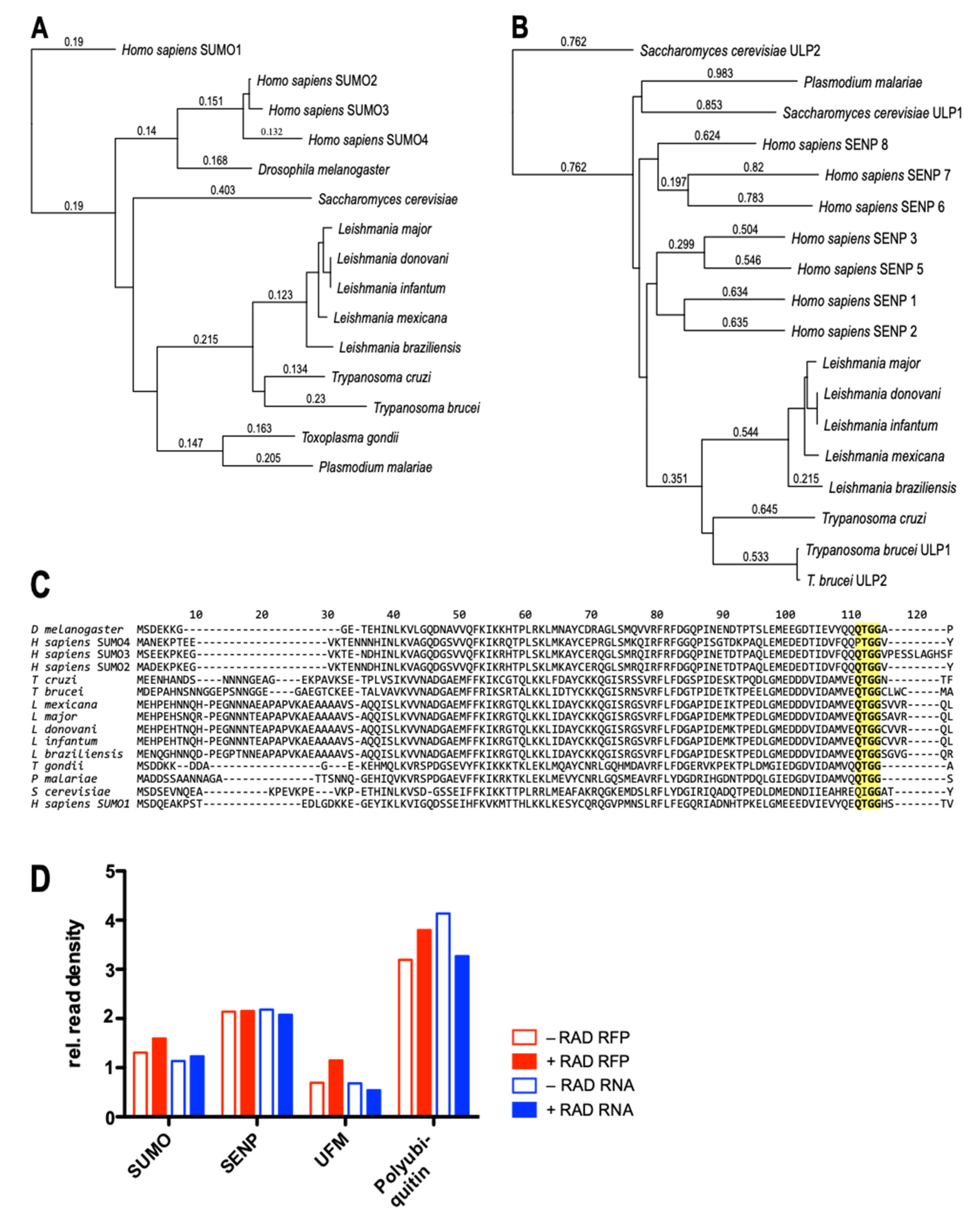Genes 11 01198 g001 Genes 11 01198 g001