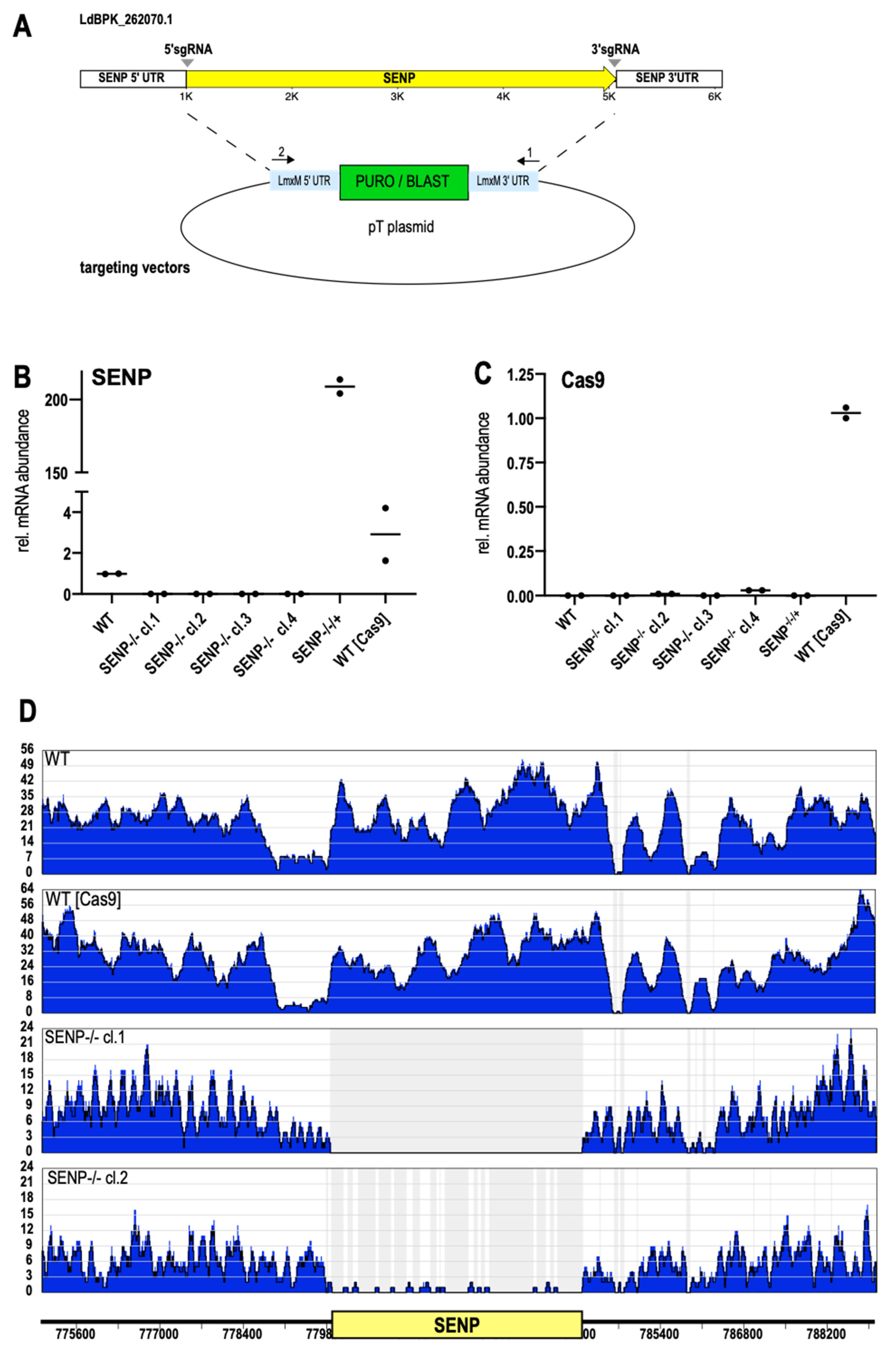 Genes 11 01198 g003 Genes 11 01198 g003