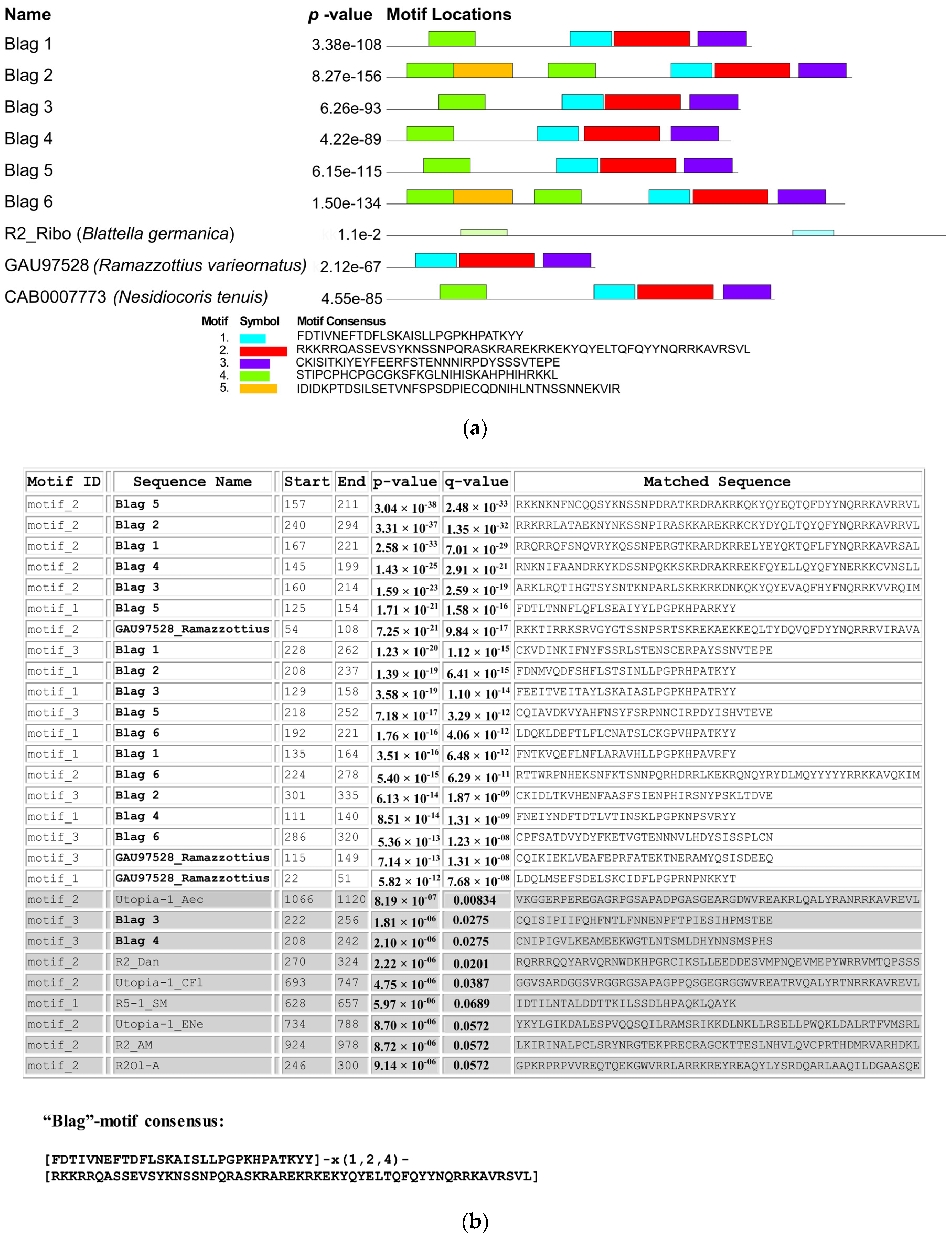 Genes 11 01202 g004