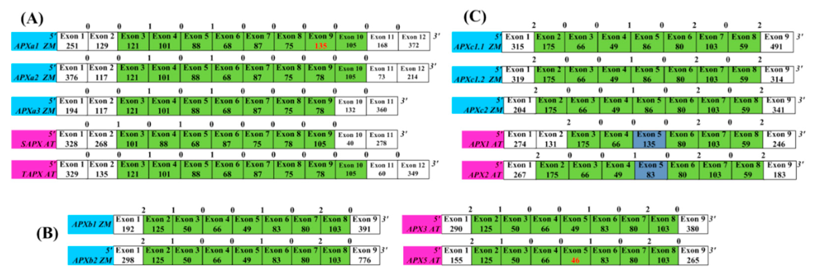 Genes 11 01204 g003 Genes 11 01204 g003