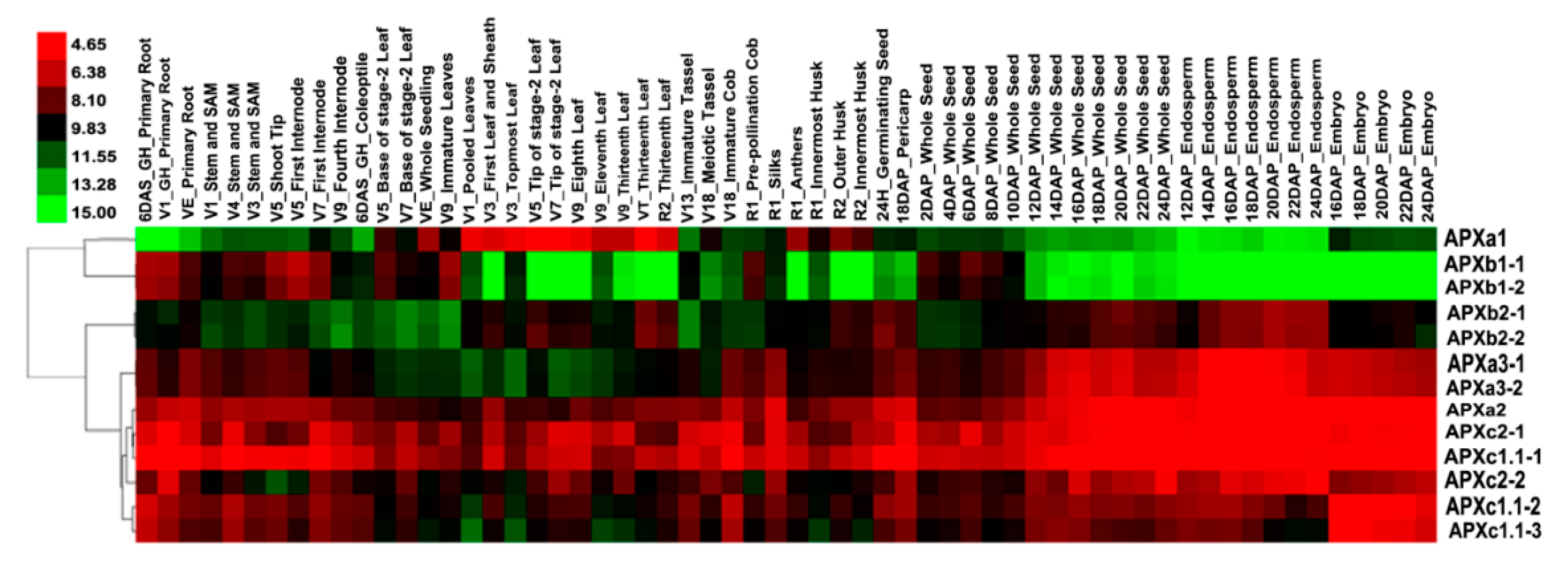 Genes 11 01204 g005 Genes 11 01204 g005