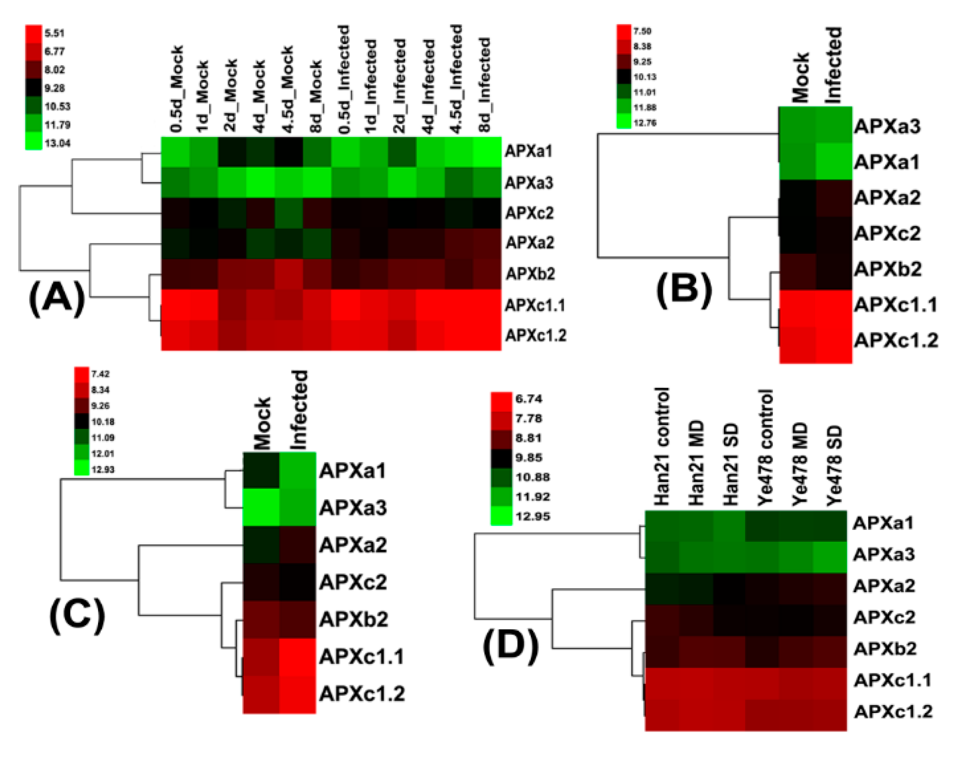 Genes 11 01204 g006 Genes 11 01204 g006