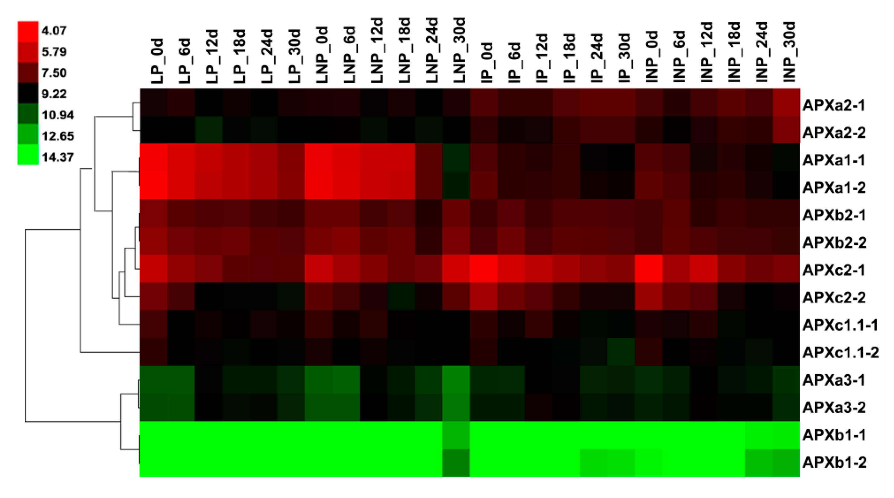 Genes 11 01204 g007 Genes 11 01204 g007