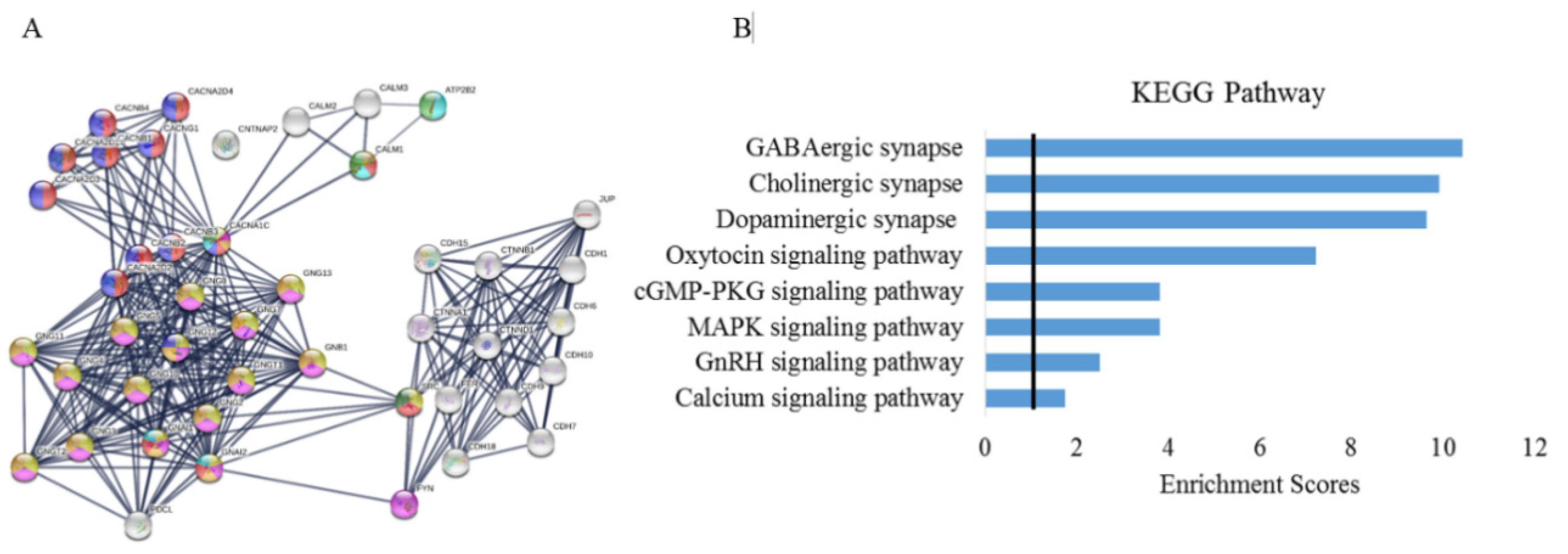 Genes 11 01206 g002