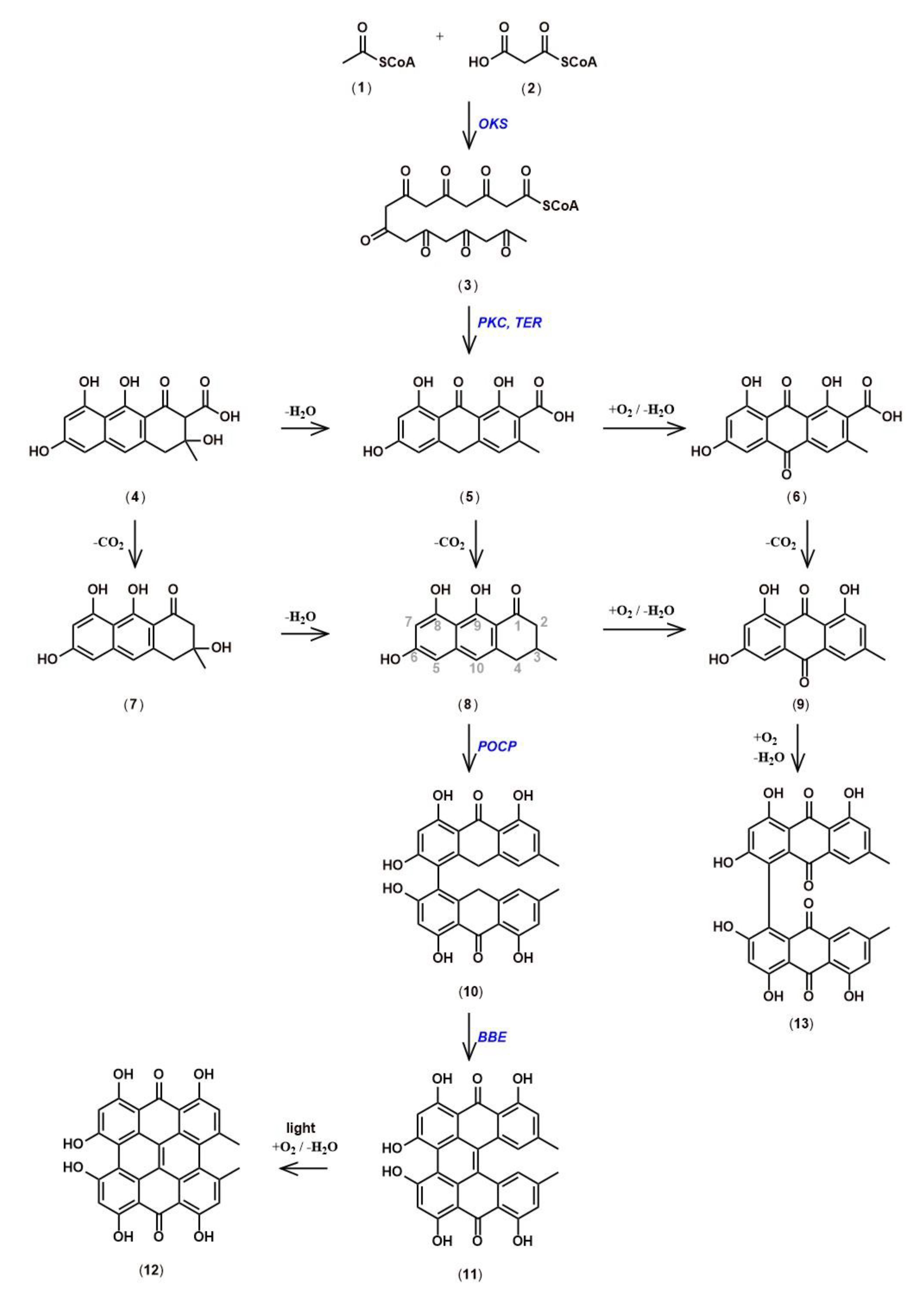 Genes 11 01210 g006 Genes 11 01210 g006