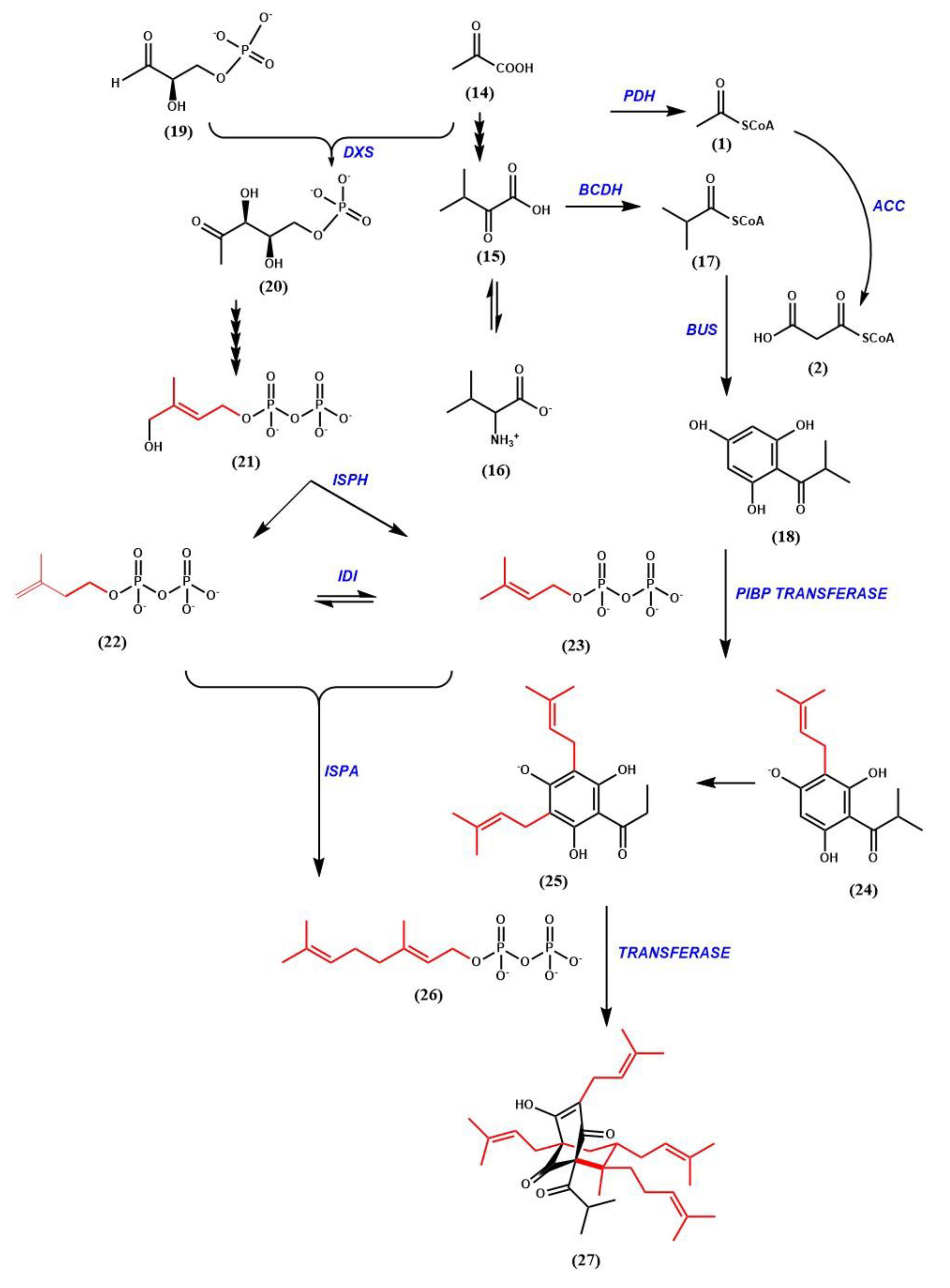 Genes 11 01210 g007 Genes 11 01210 g007