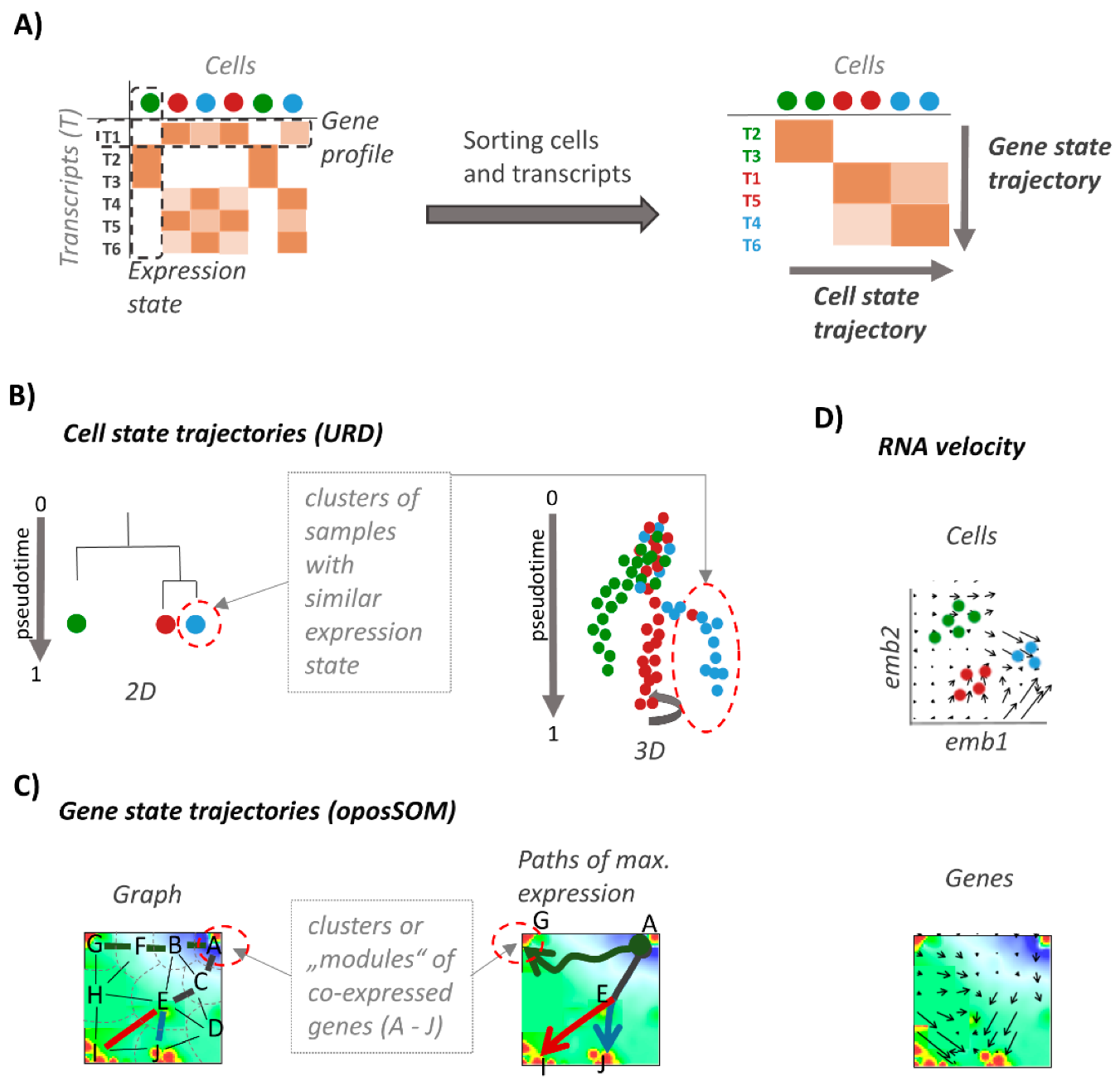 Genes 11 01214 g001
