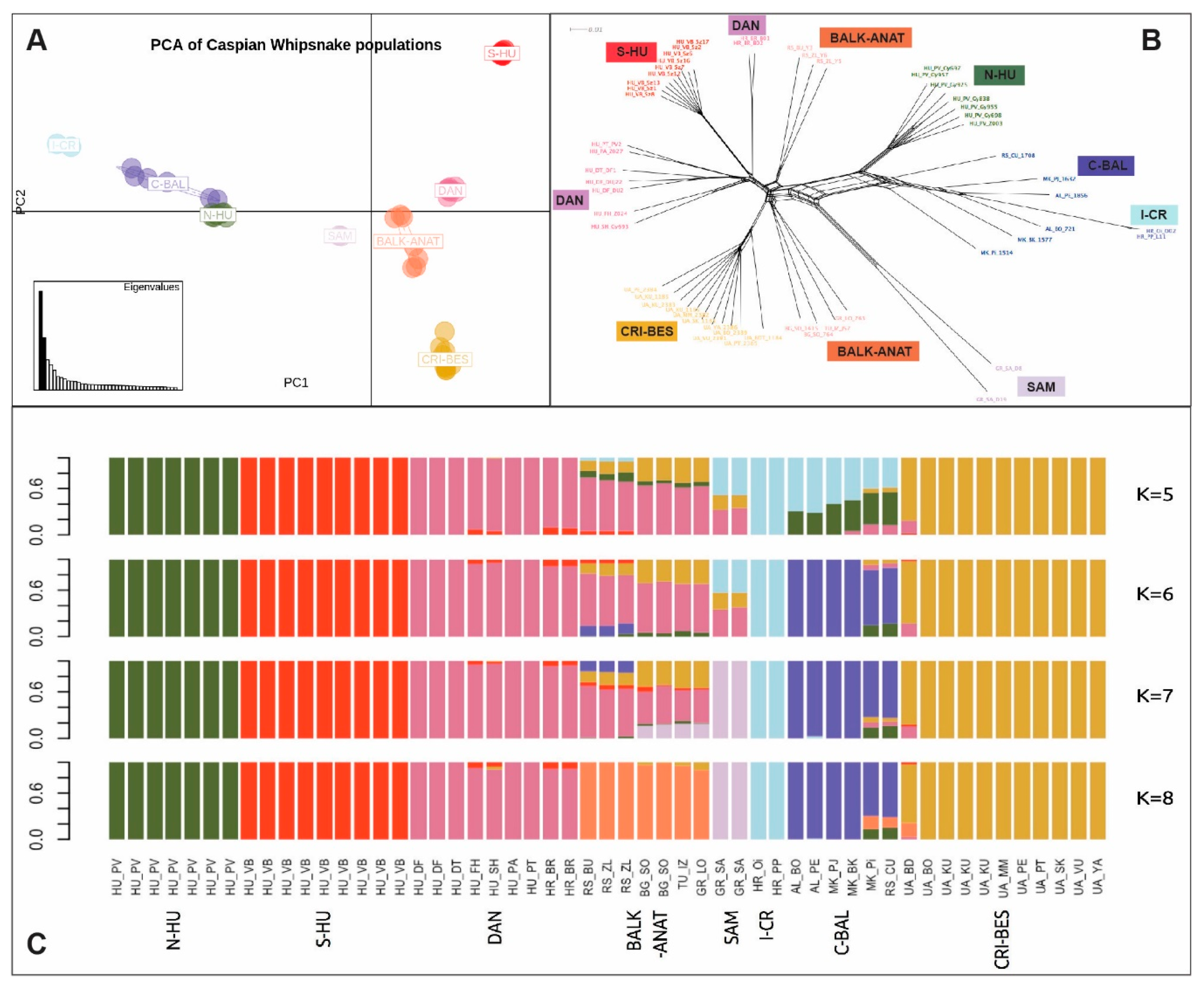 Genes 11 01218 g002 Genes 11 01218 g002