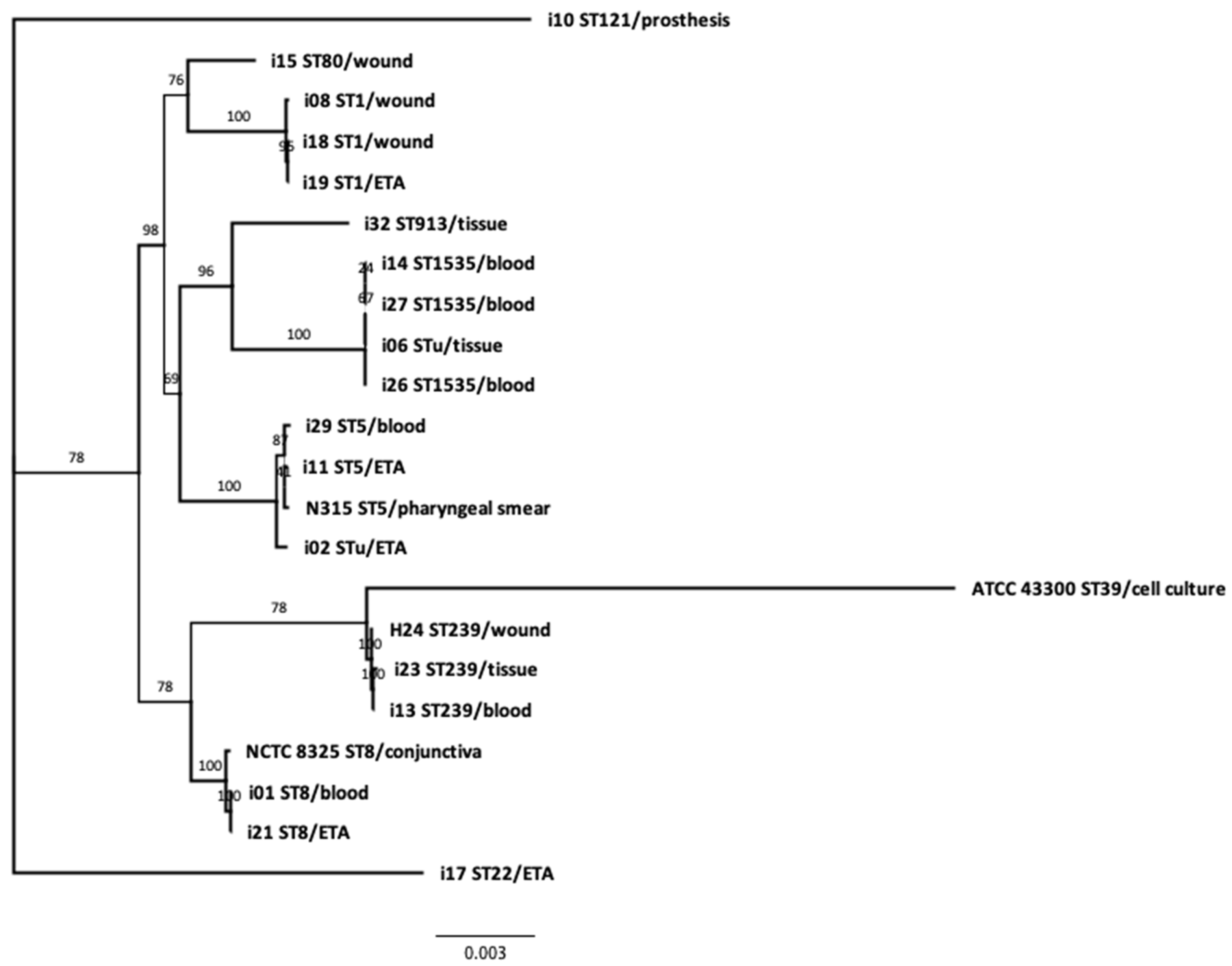 Genes 11 01219 g001 Genes 11 01219 g001