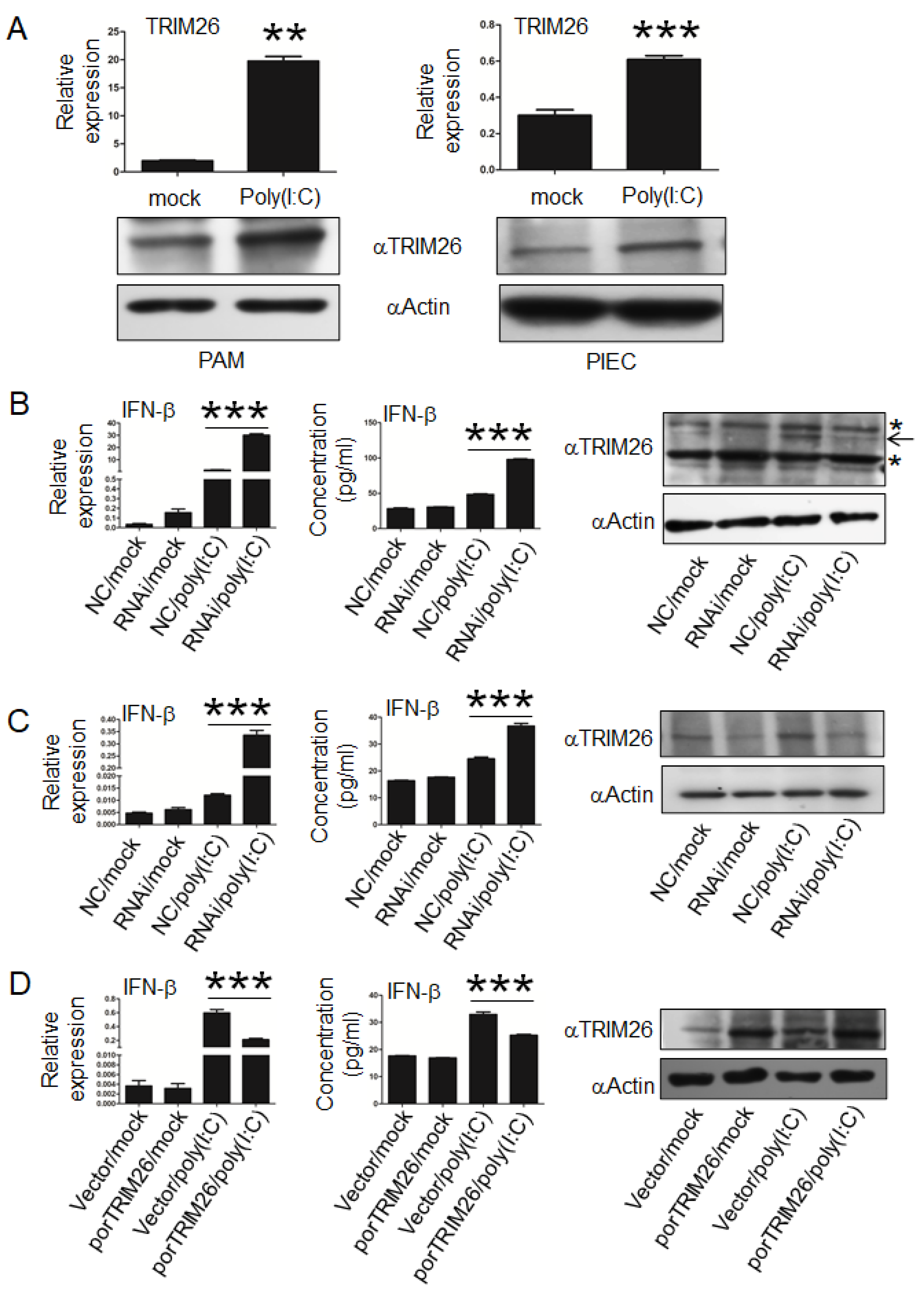 Genes 11 01226 g003