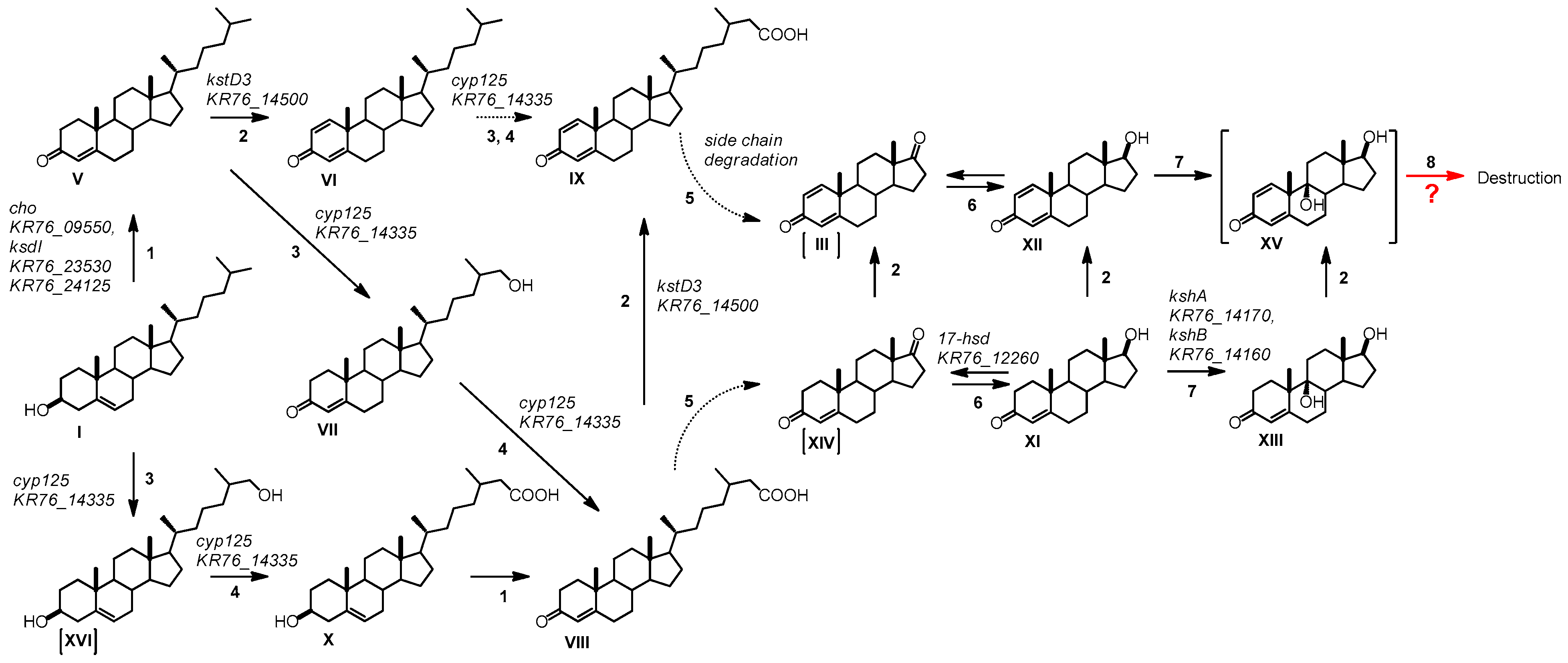 Genes 11 01229 g006
