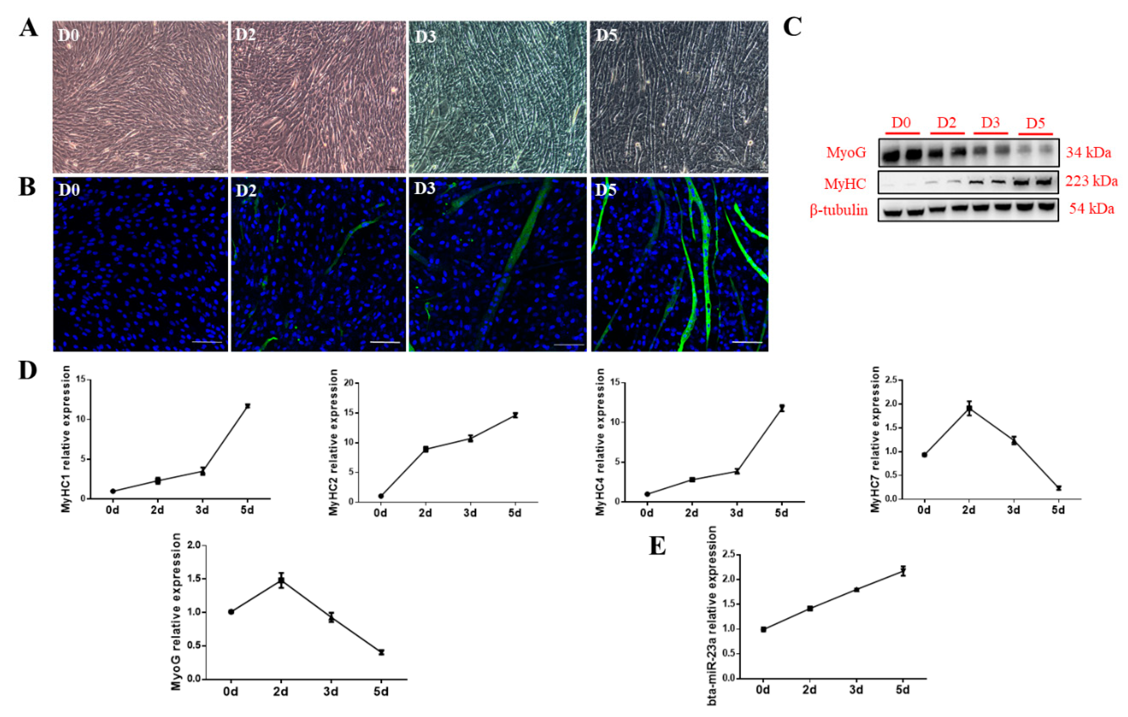 Genes 11 01232 g002 Genes 11 01232 g002