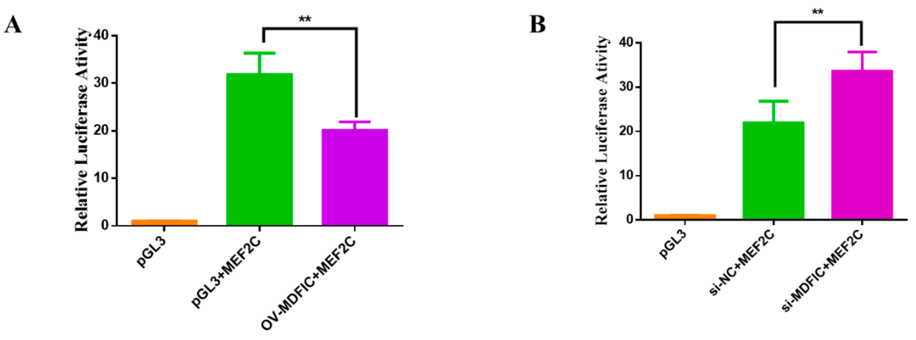 Genes 11 01232 g007 Genes 11 01232 g007