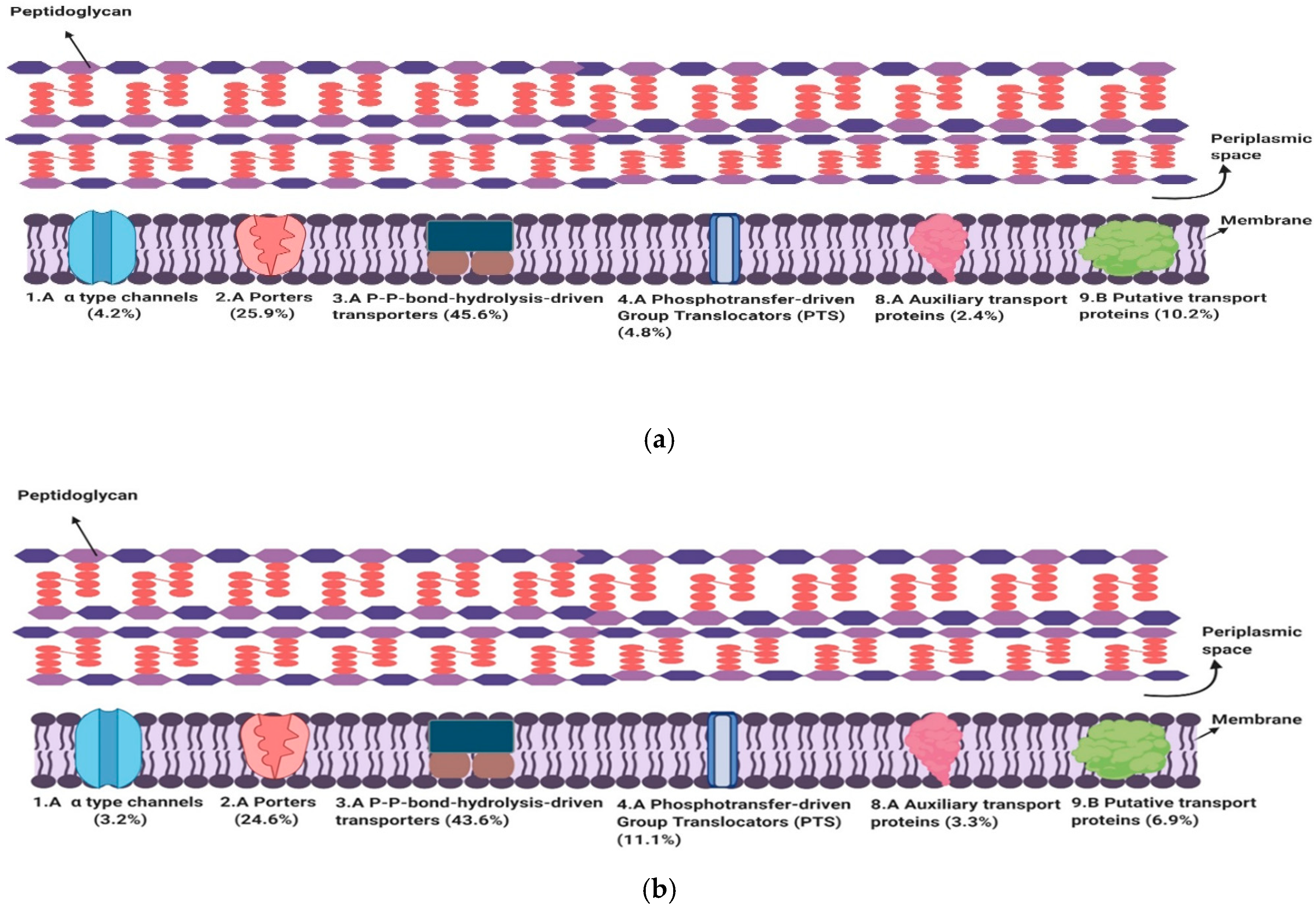 Genes 11 01234 g001