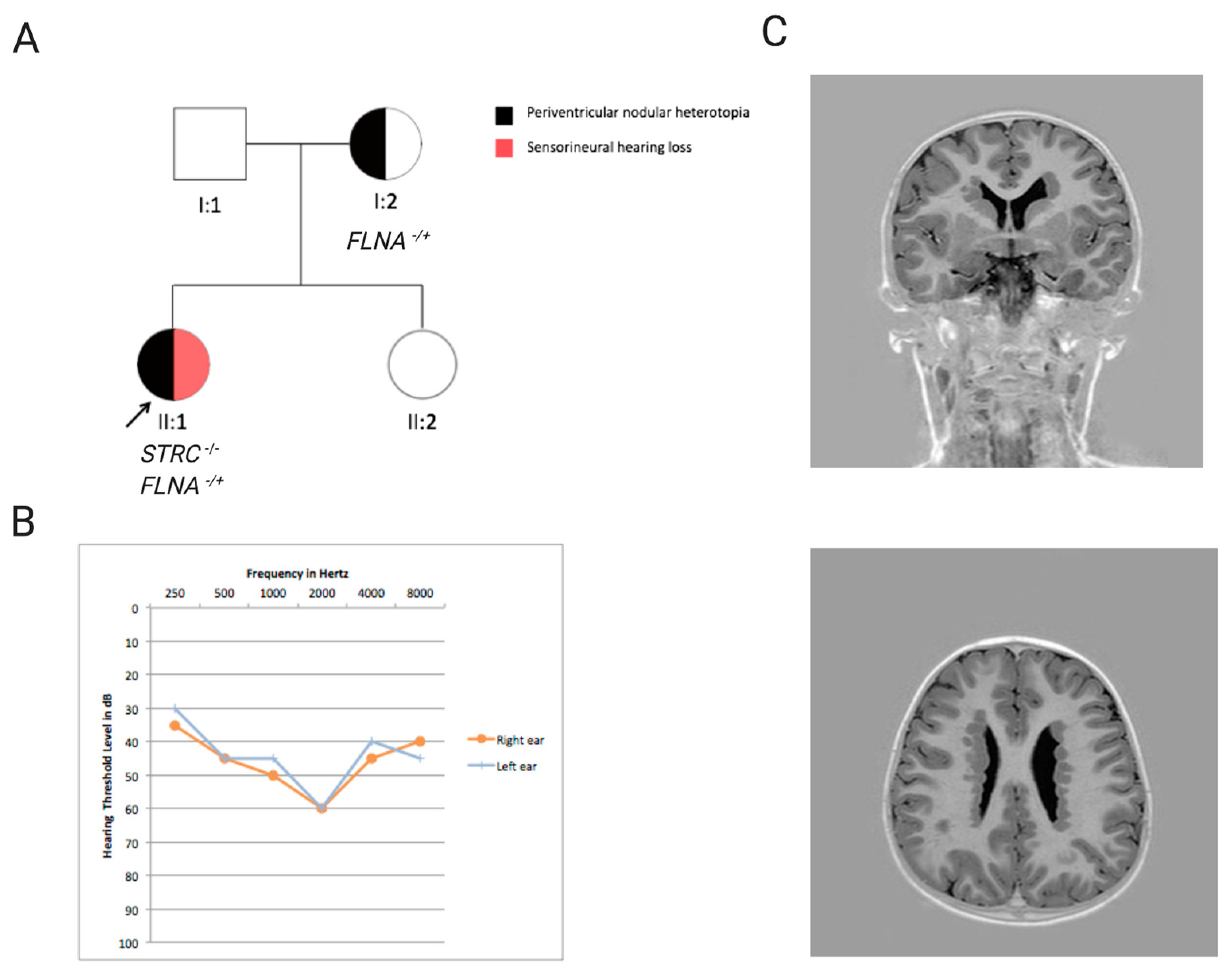 Genes 11 01237 g003 Genes 11 01237 g003