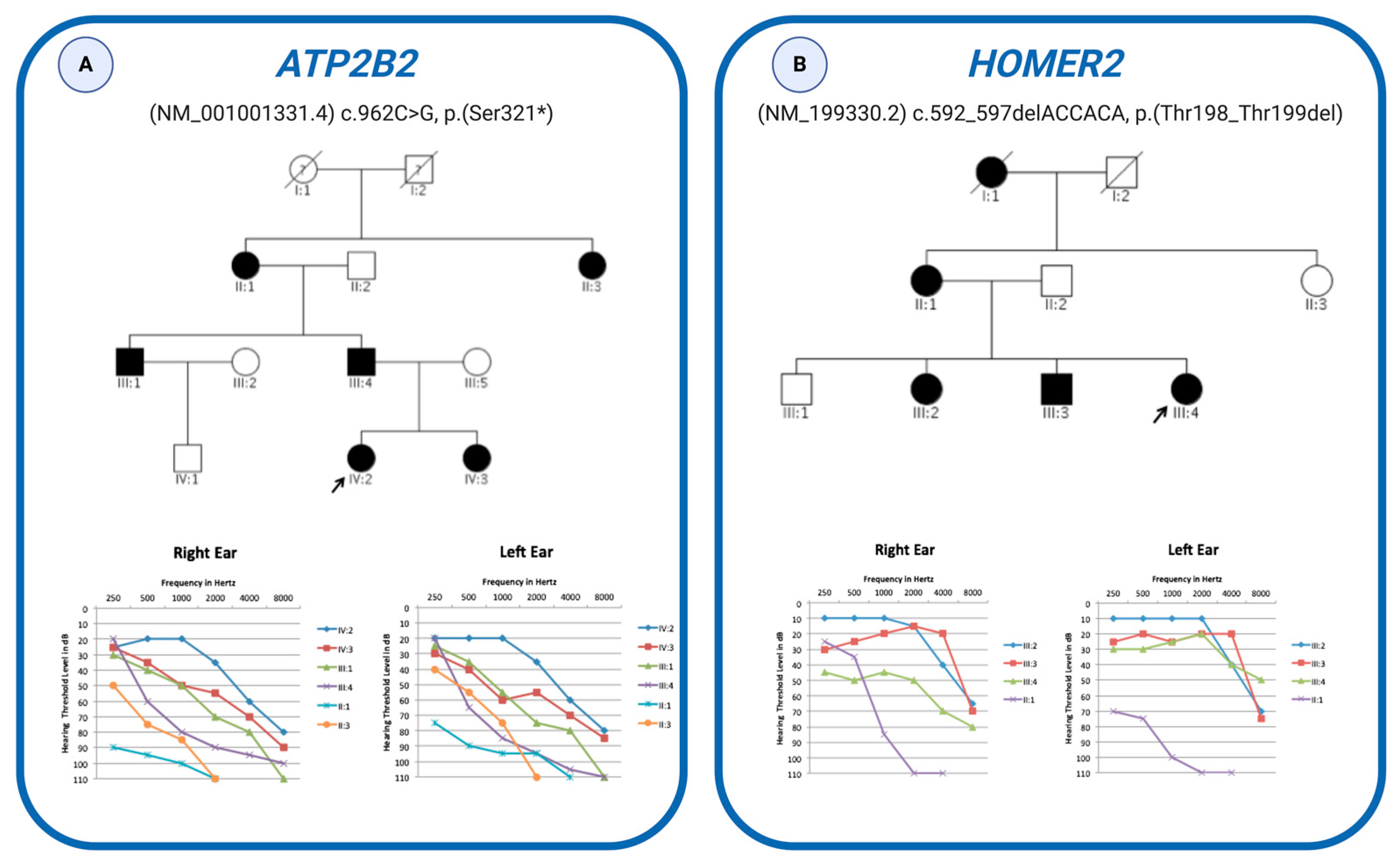 Genes 11 01237 g004 Genes 11 01237 g004