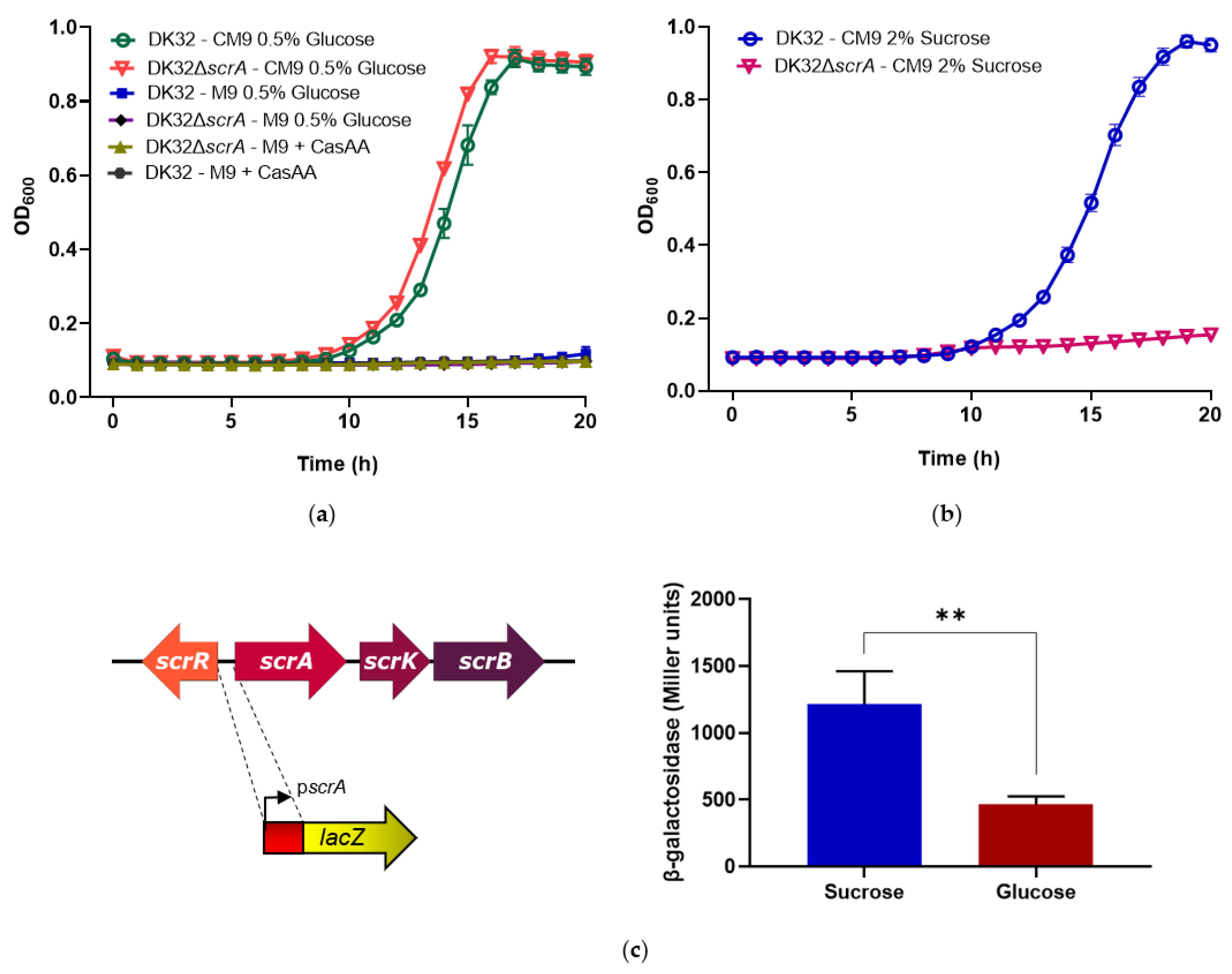 Genes 11 01244 g004