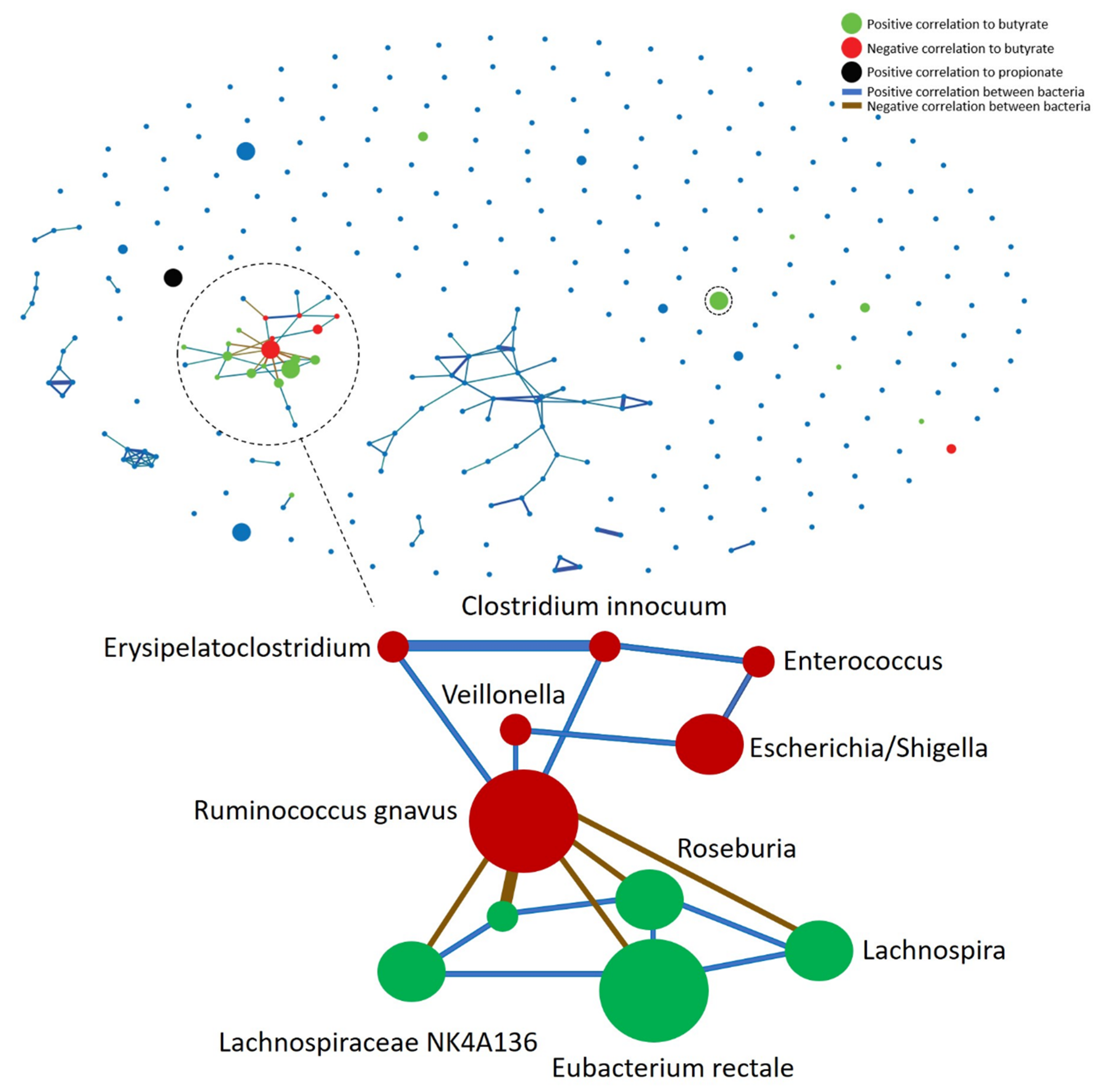 Genes 11 01245 g005 Genes 11 01245 g005