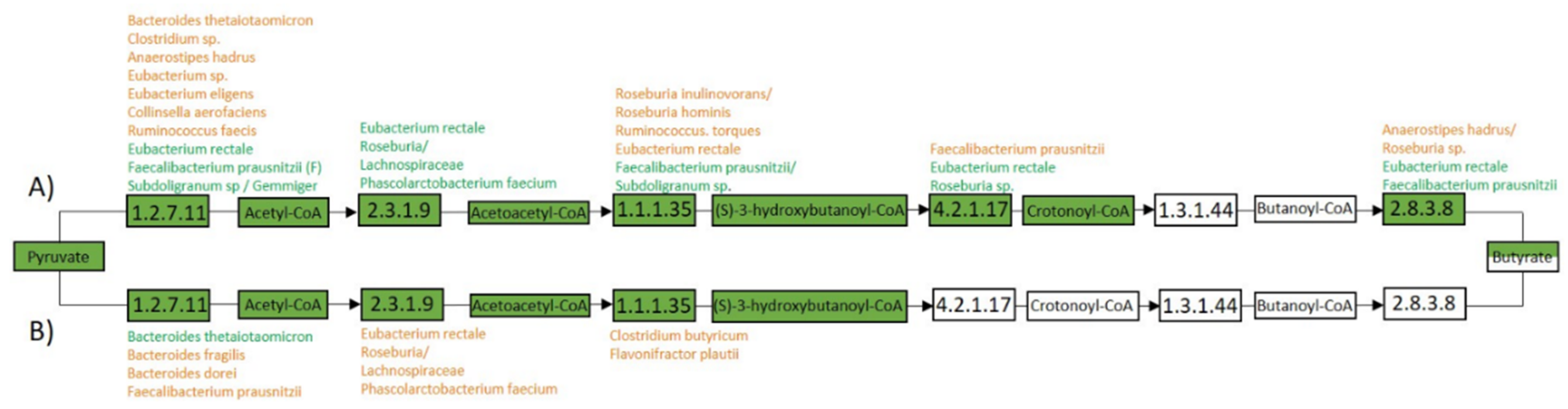 Genes 11 01245 g007 Genes 11 01245 g007