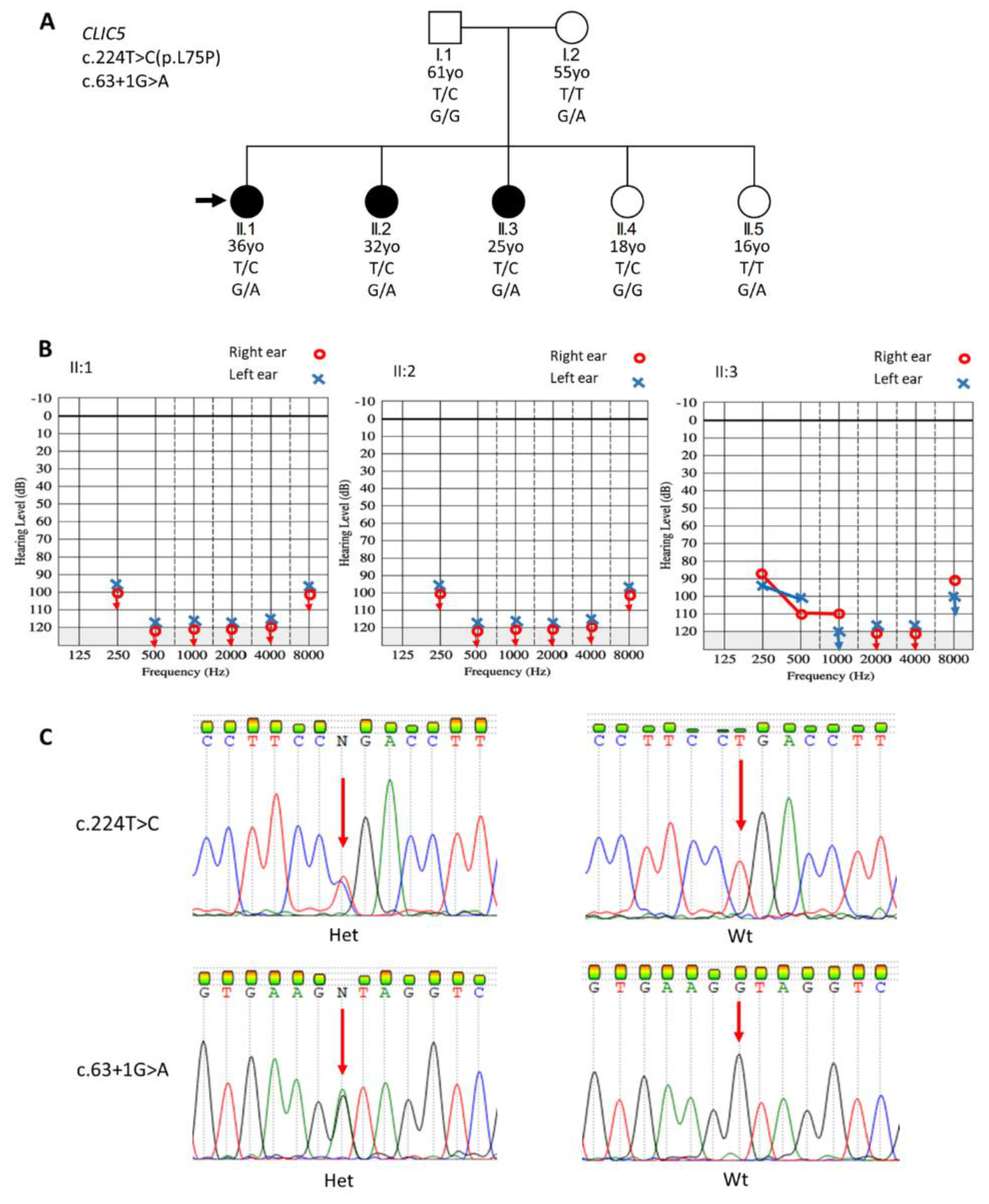 Genes 11 01249 g001 Genes 11 01249 g001
