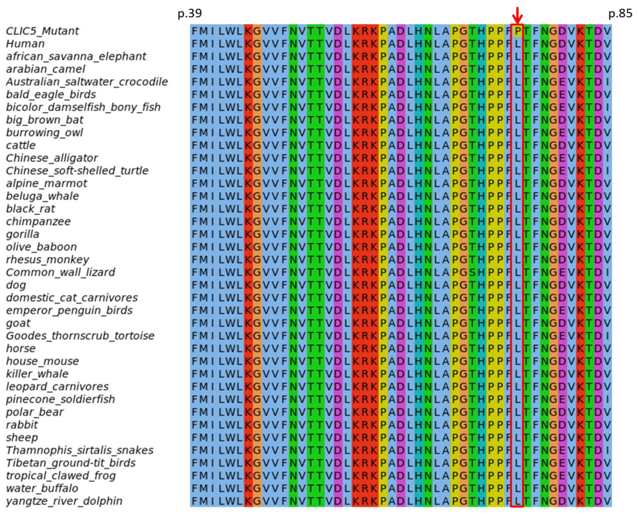 Genes 11 01249 g002 Genes 11 01249 g002