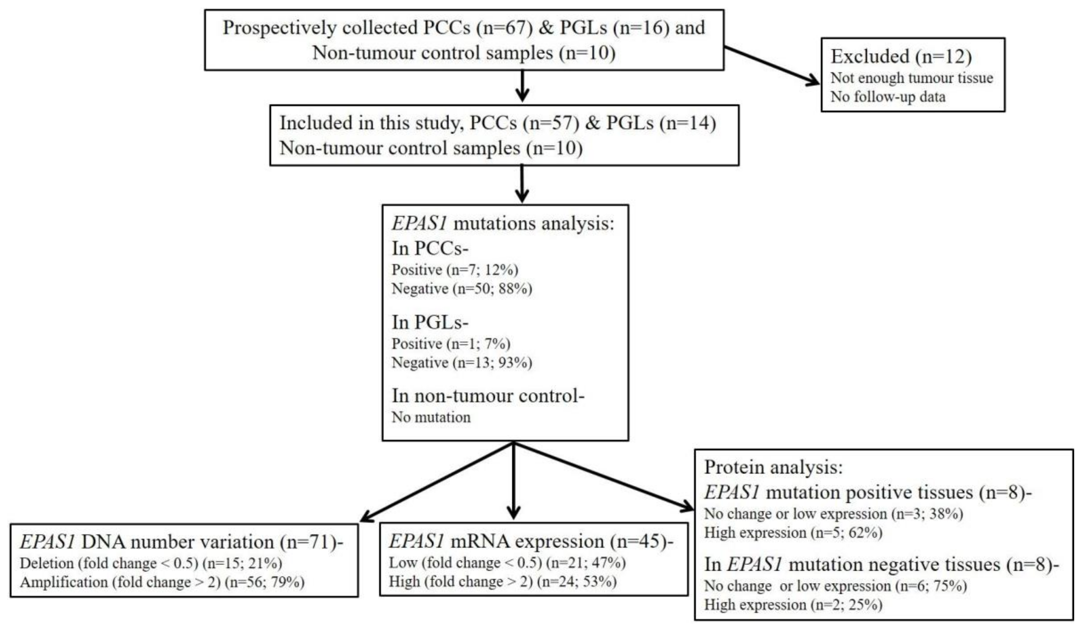 Genes 11 01254 g001