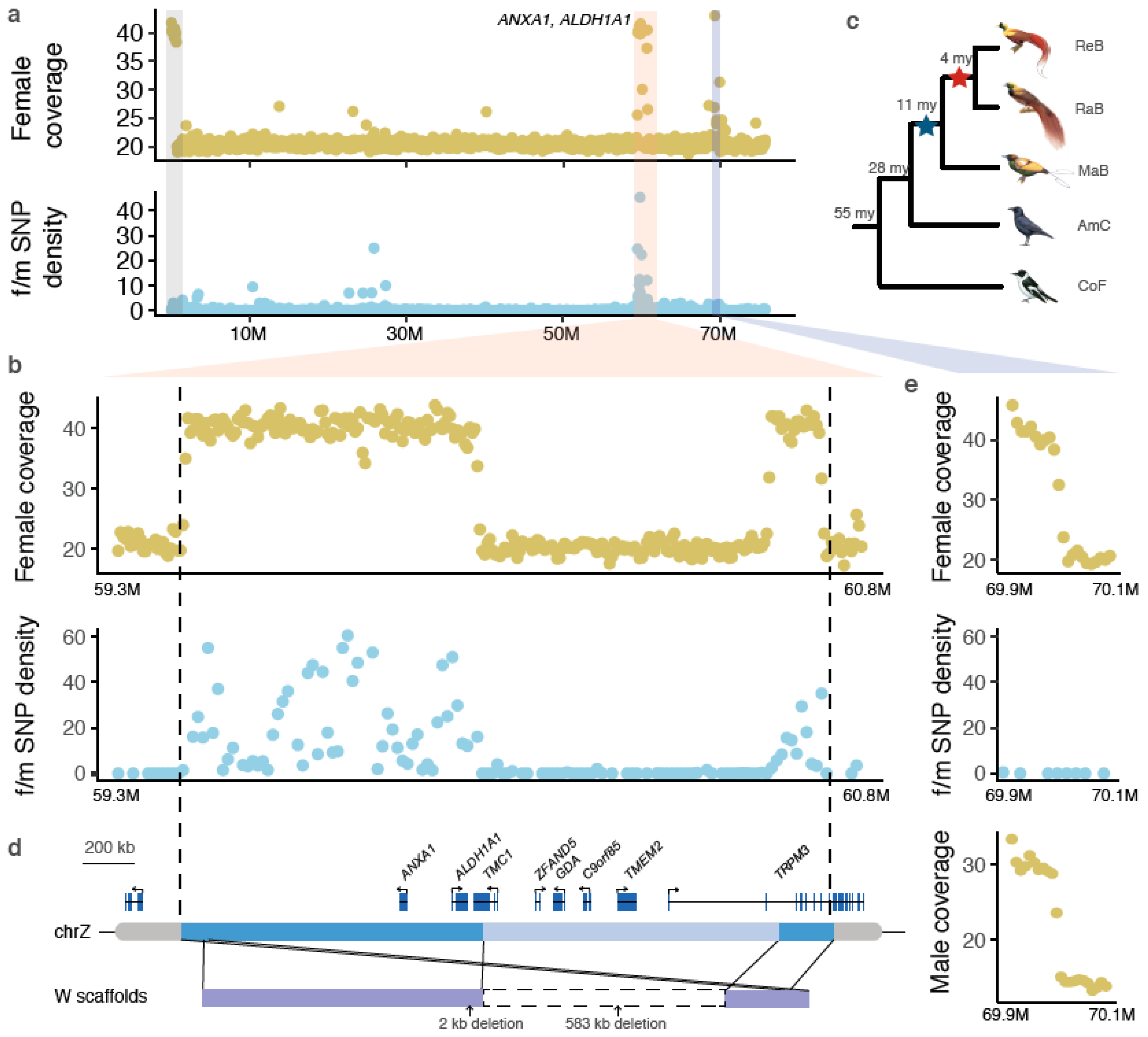 Genes 11 01267 g001