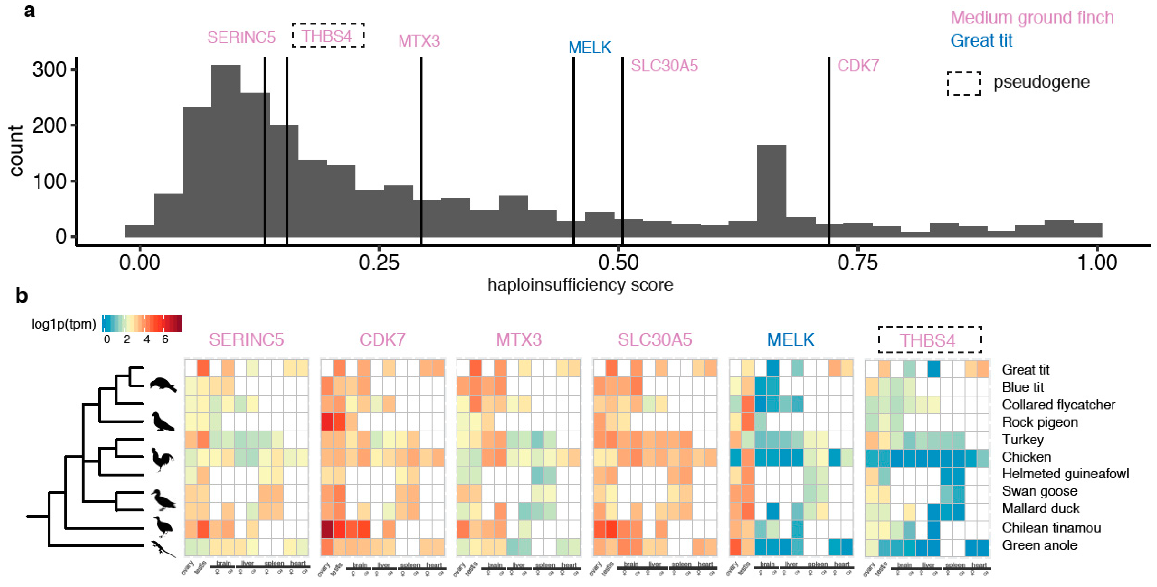 Genes 11 01267 g004