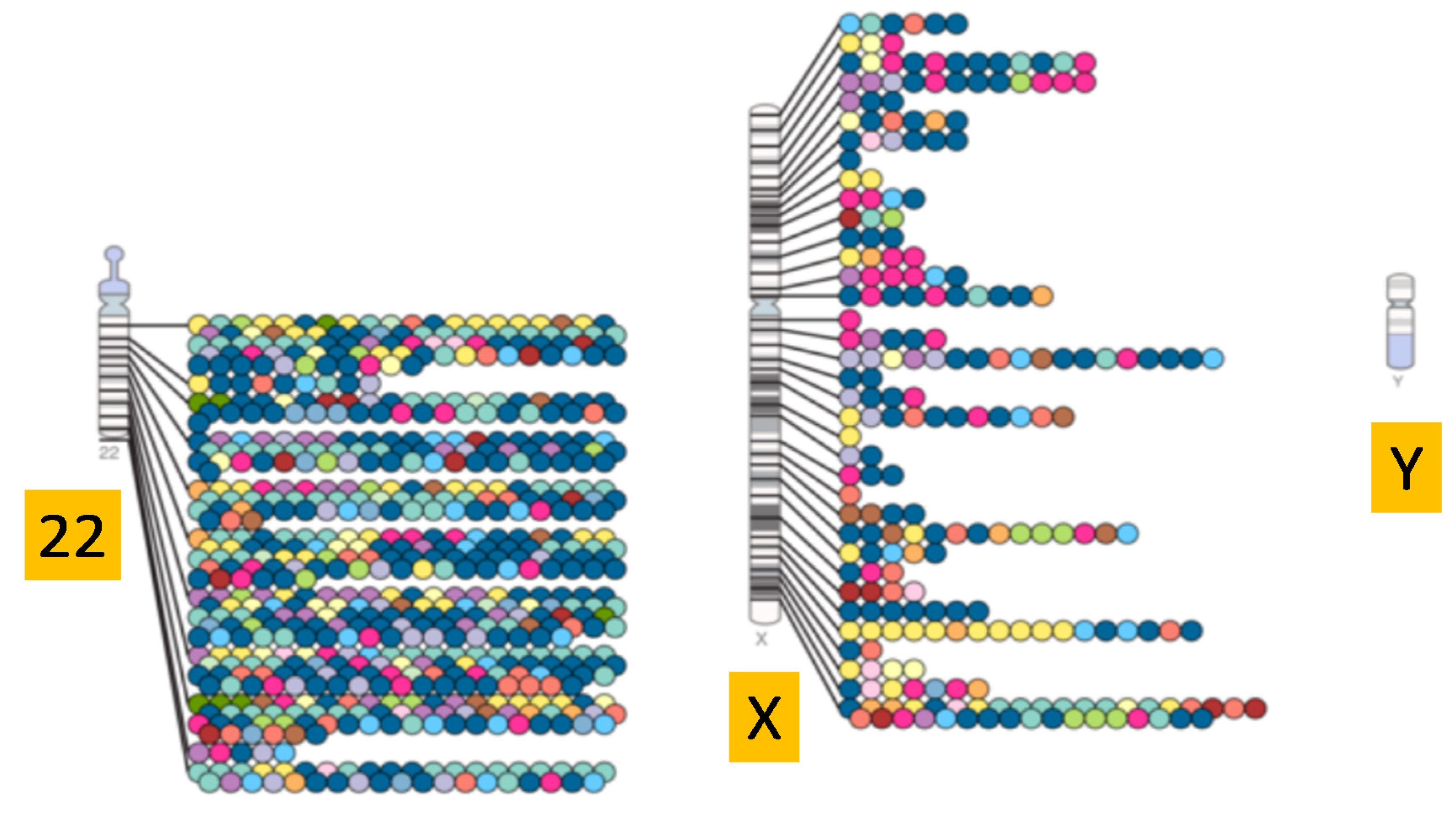 Genes 11 01273 g001 Genes 11 01273 g001