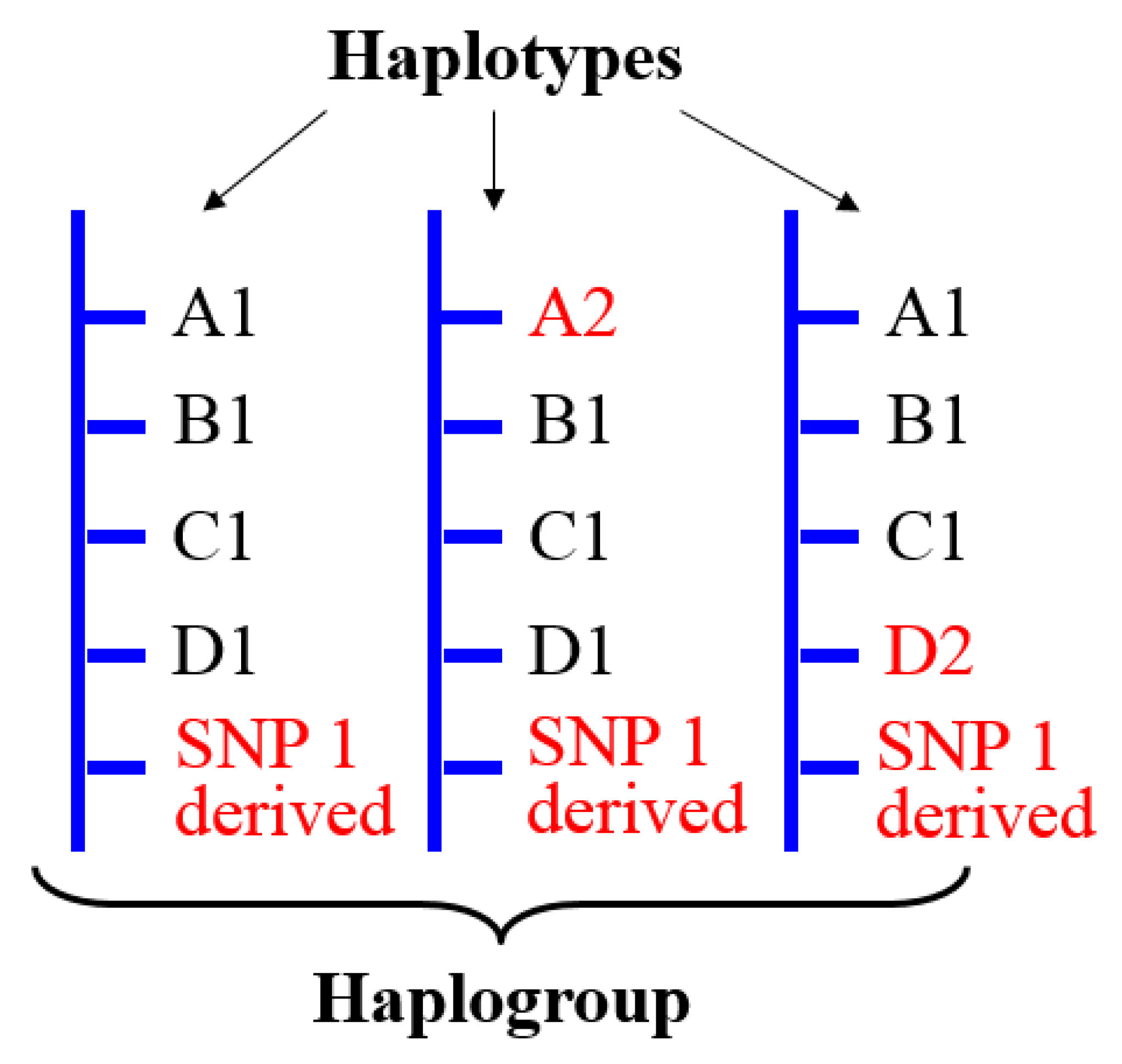 Genes 11 01273 g003 Genes 11 01273 g003