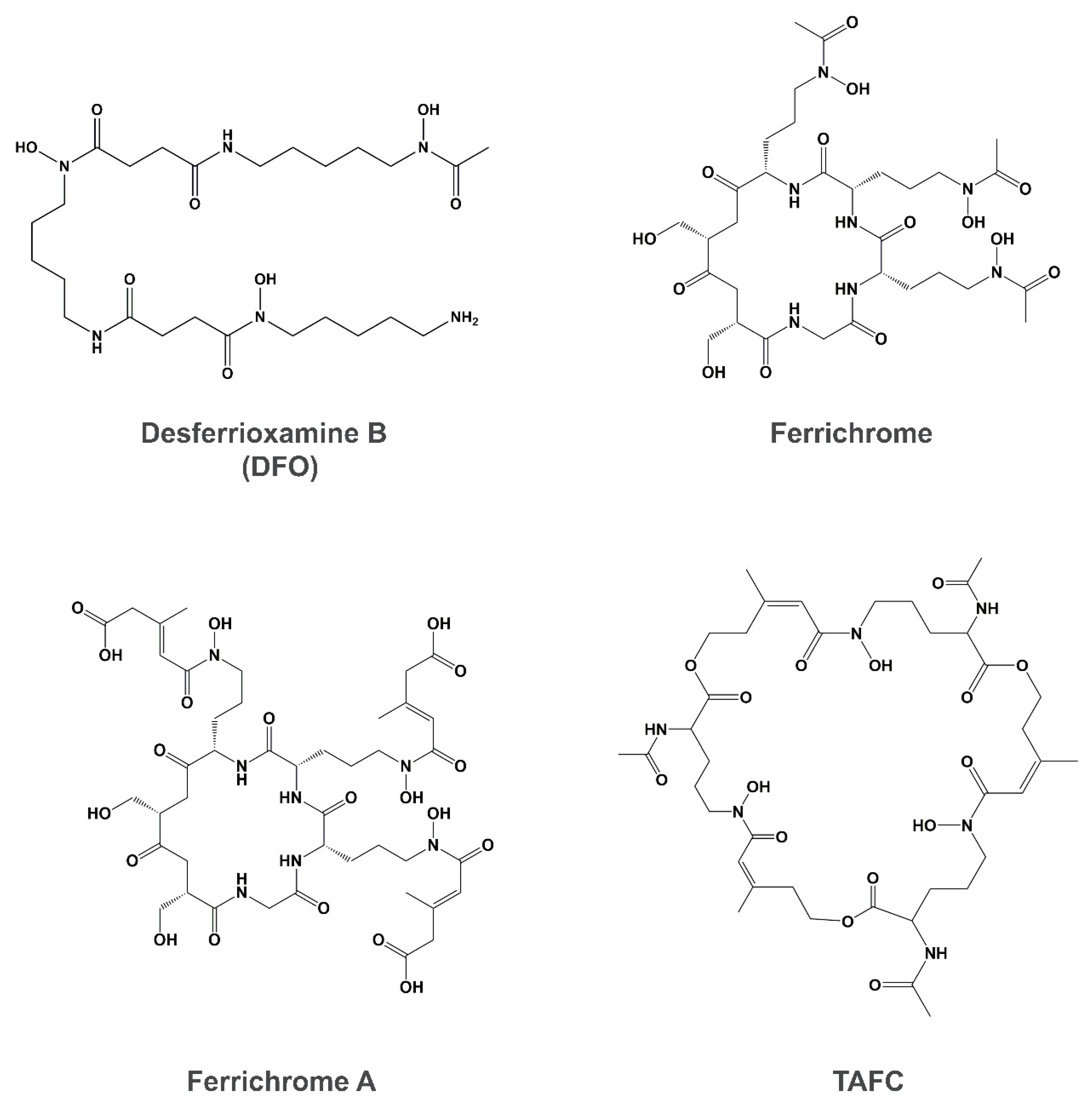 Genes 11 01296 g002a