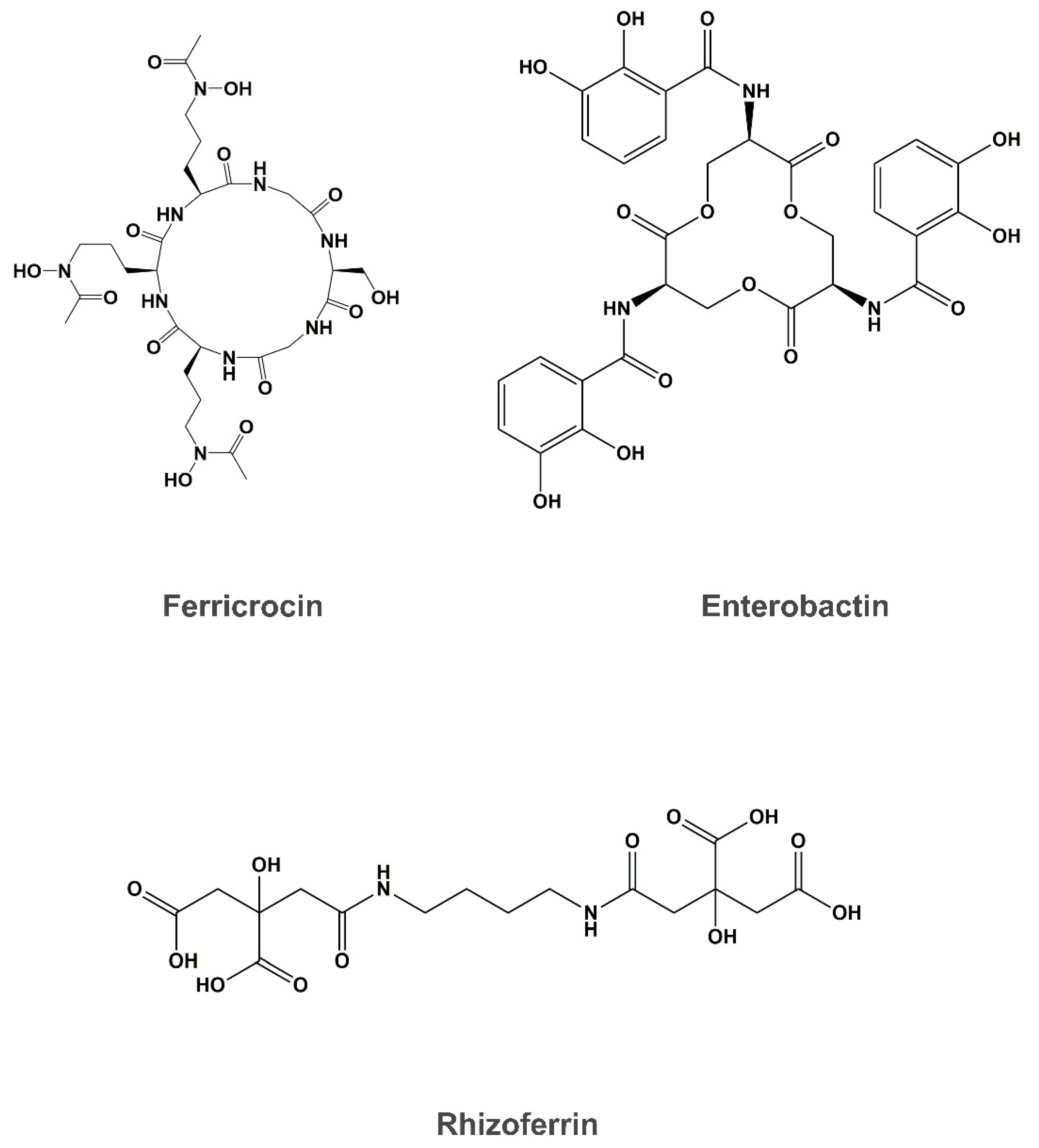 Genes 11 01296 g002b