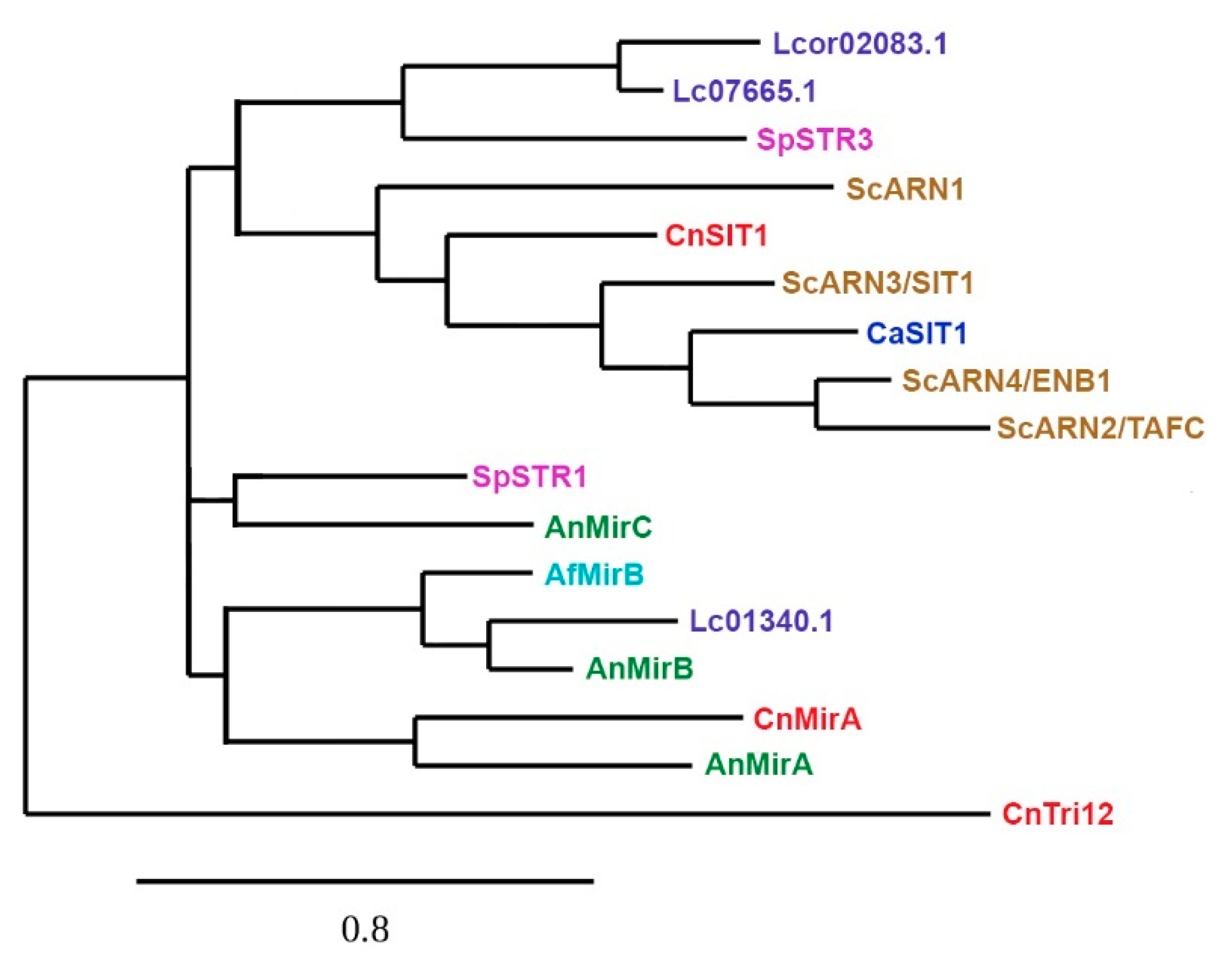 Genes 11 01296 g003