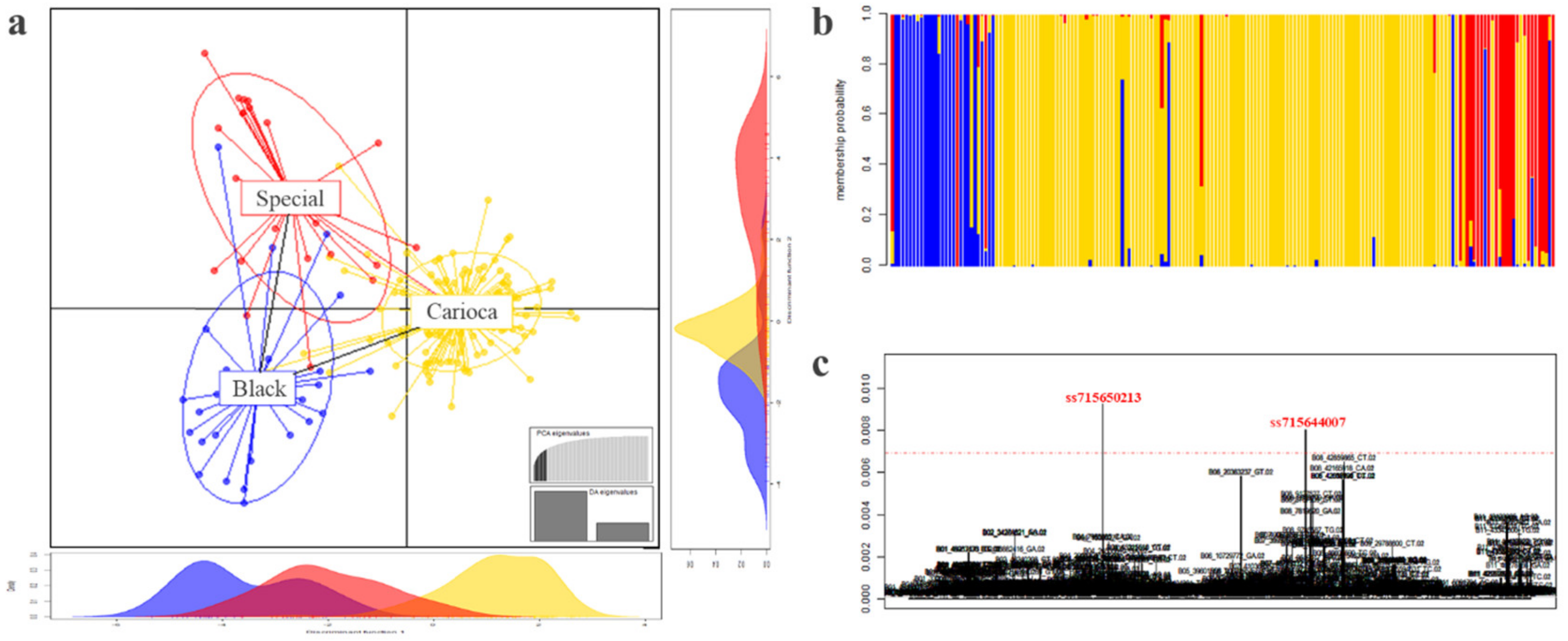 Genes 11 01298 g003