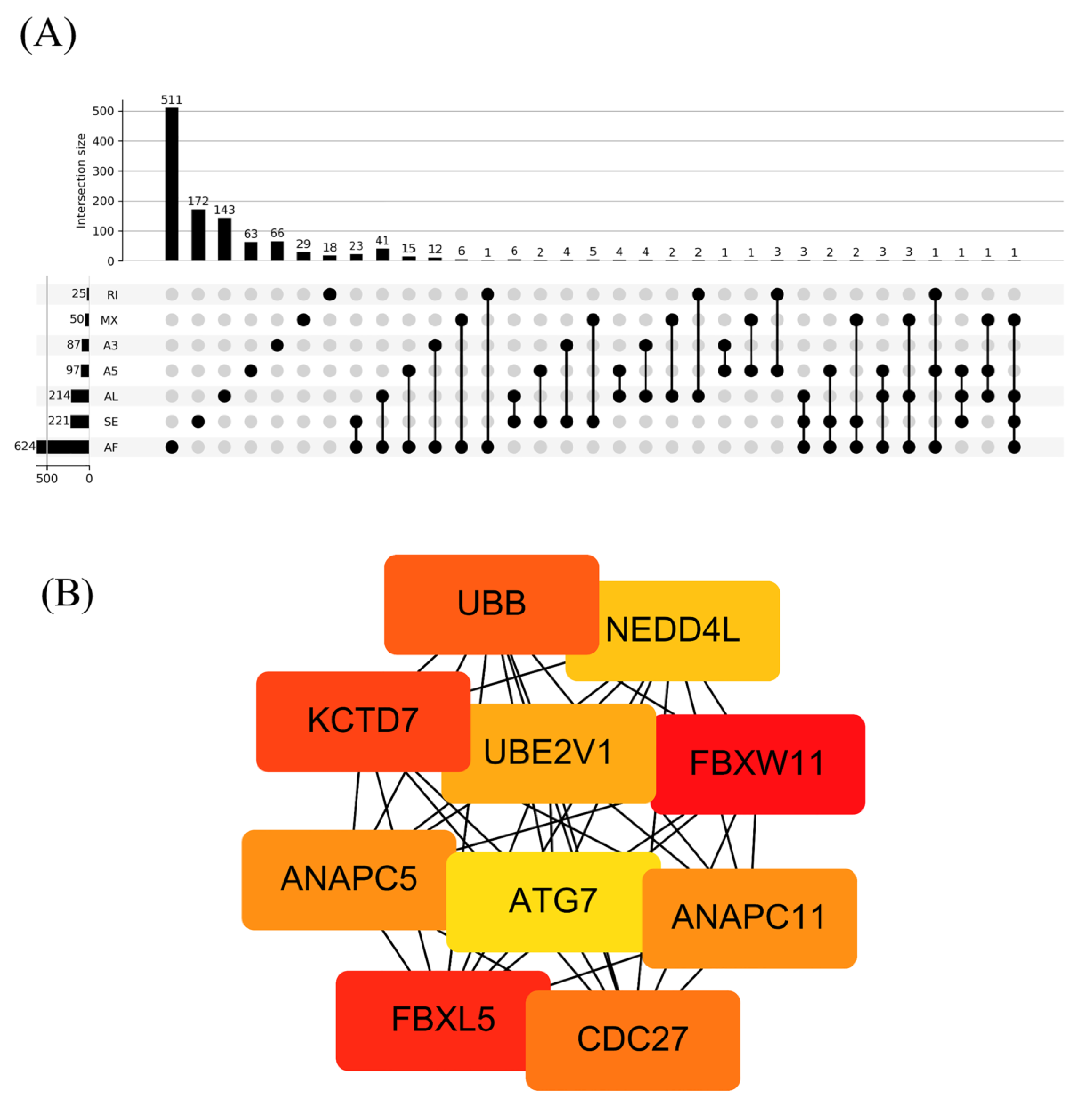 Genes 11 01300 g004
