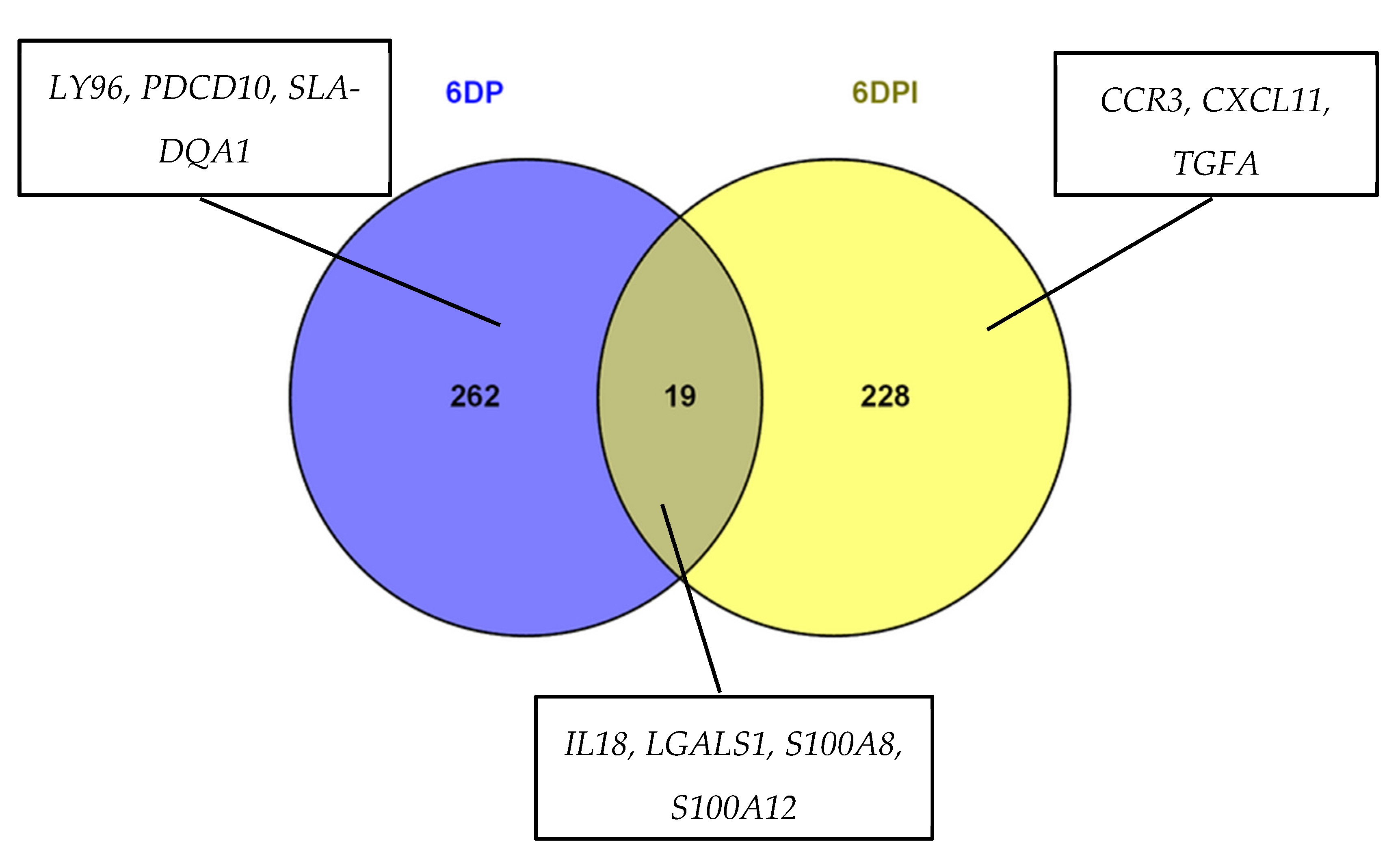 Genes 11 01302 g001 Genes 11 01302 g001